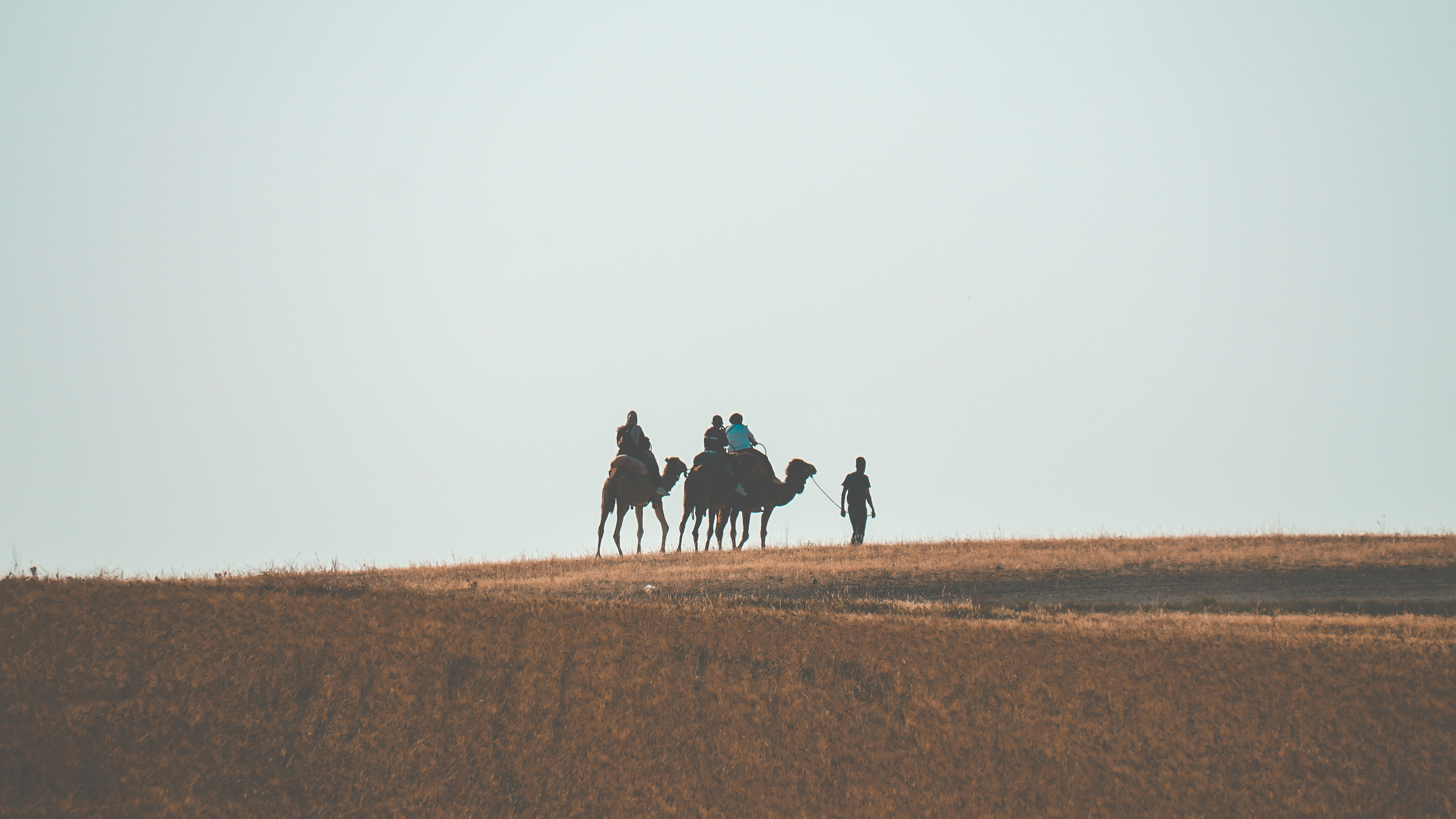 Photo by moroccopictures