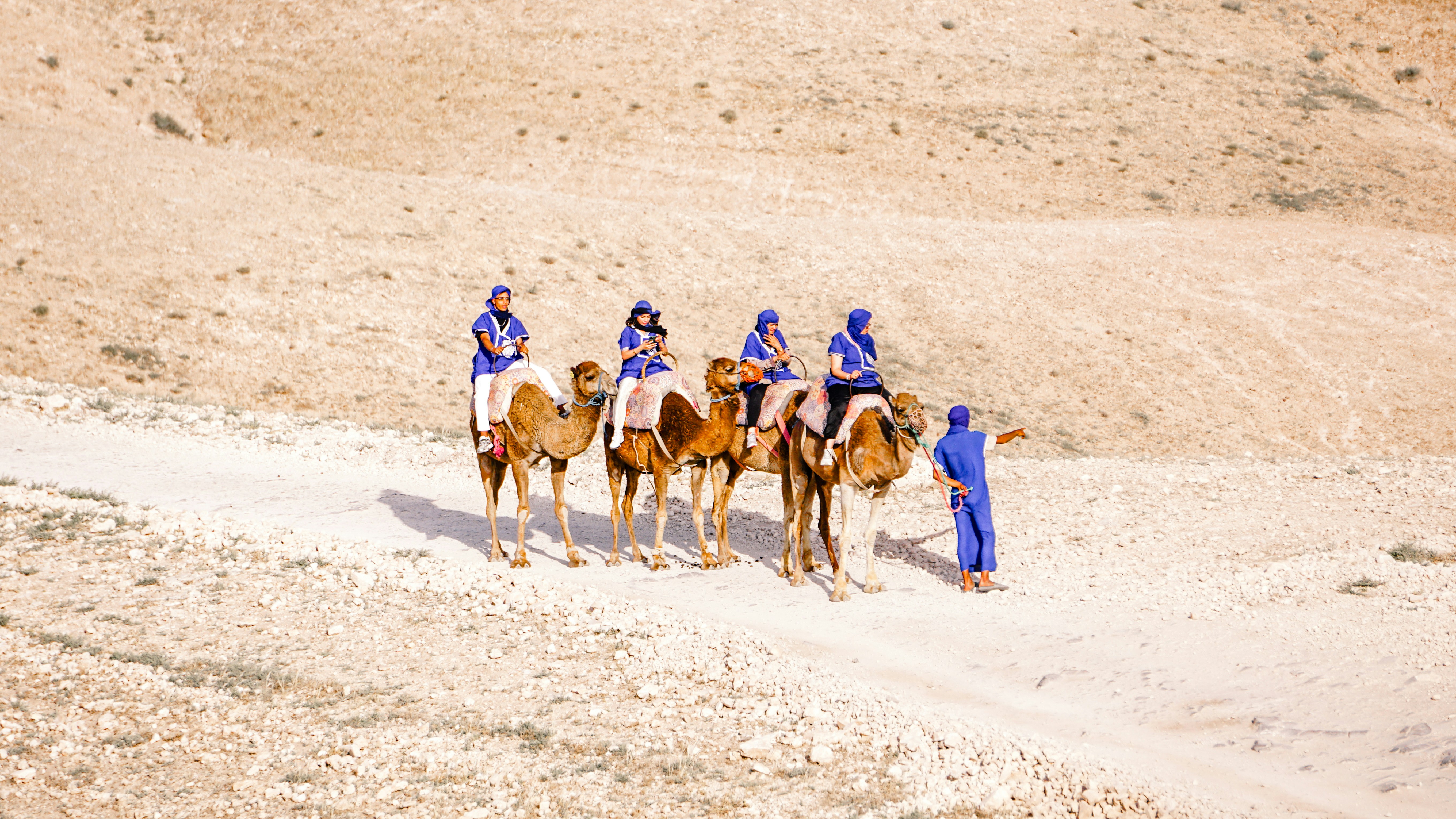 Photo by moroccopictures