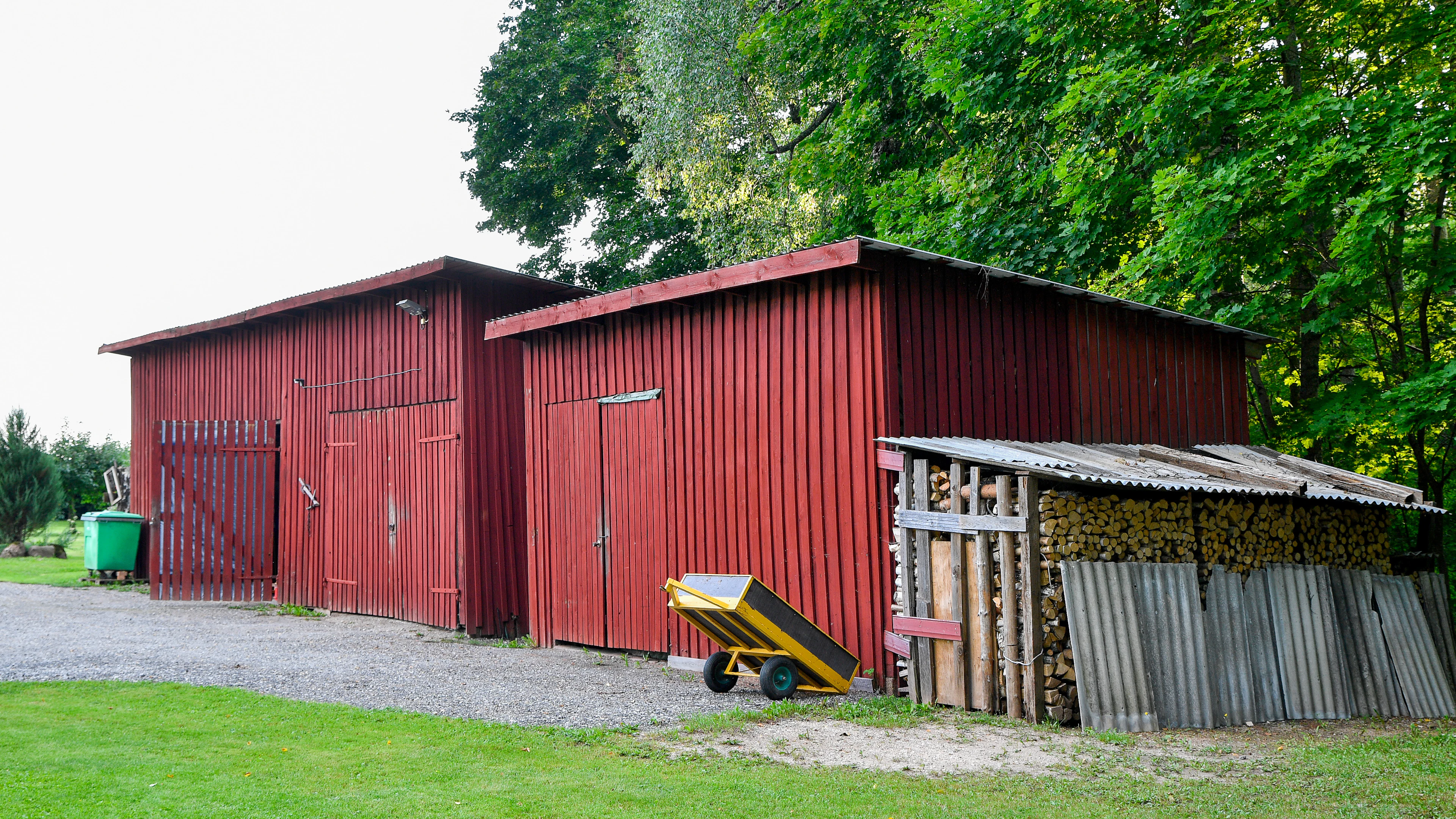 Shed or Storage Cleanup