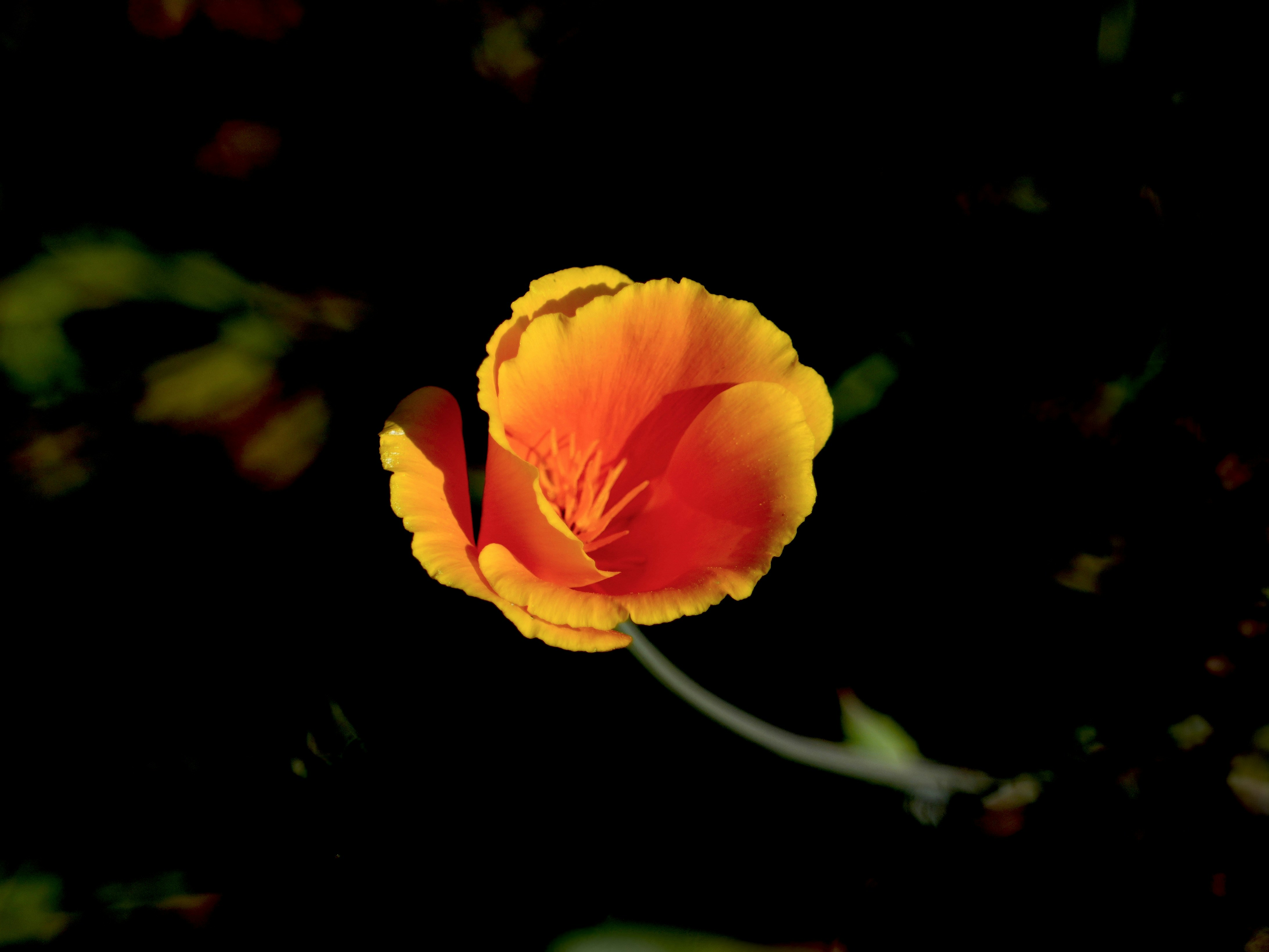 Photo by nythfran