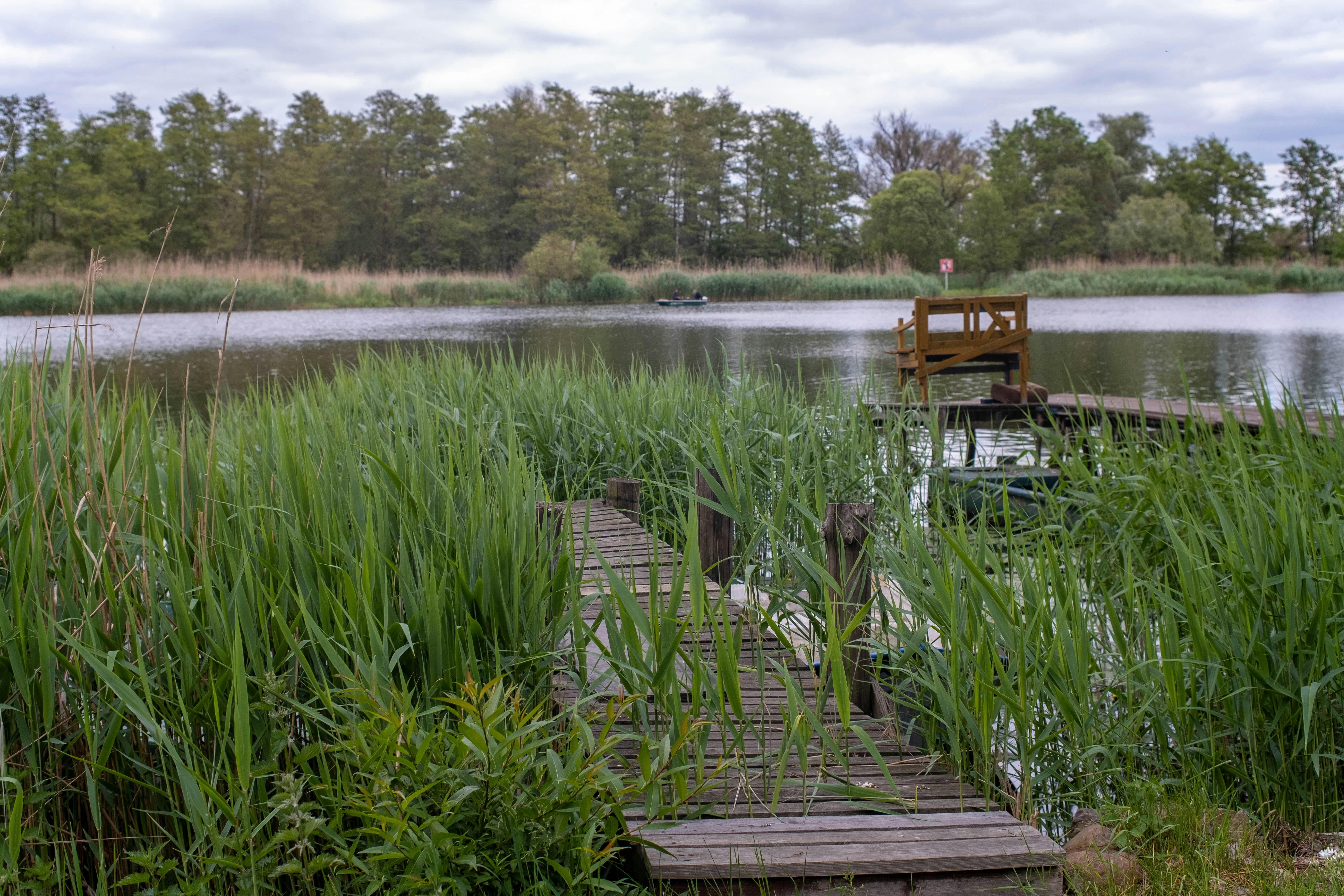 Photo by skajpel