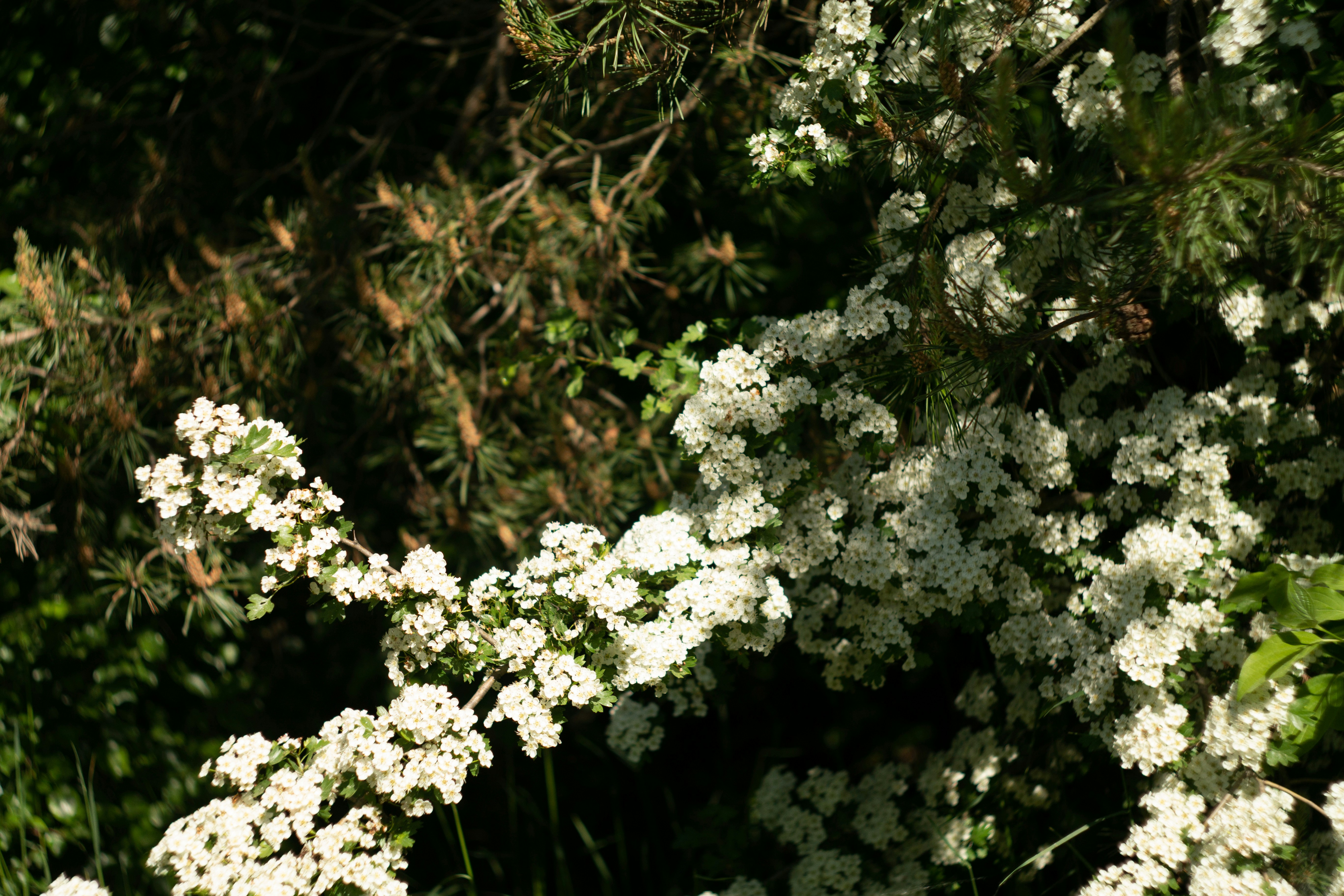 Photo by kuzminklk