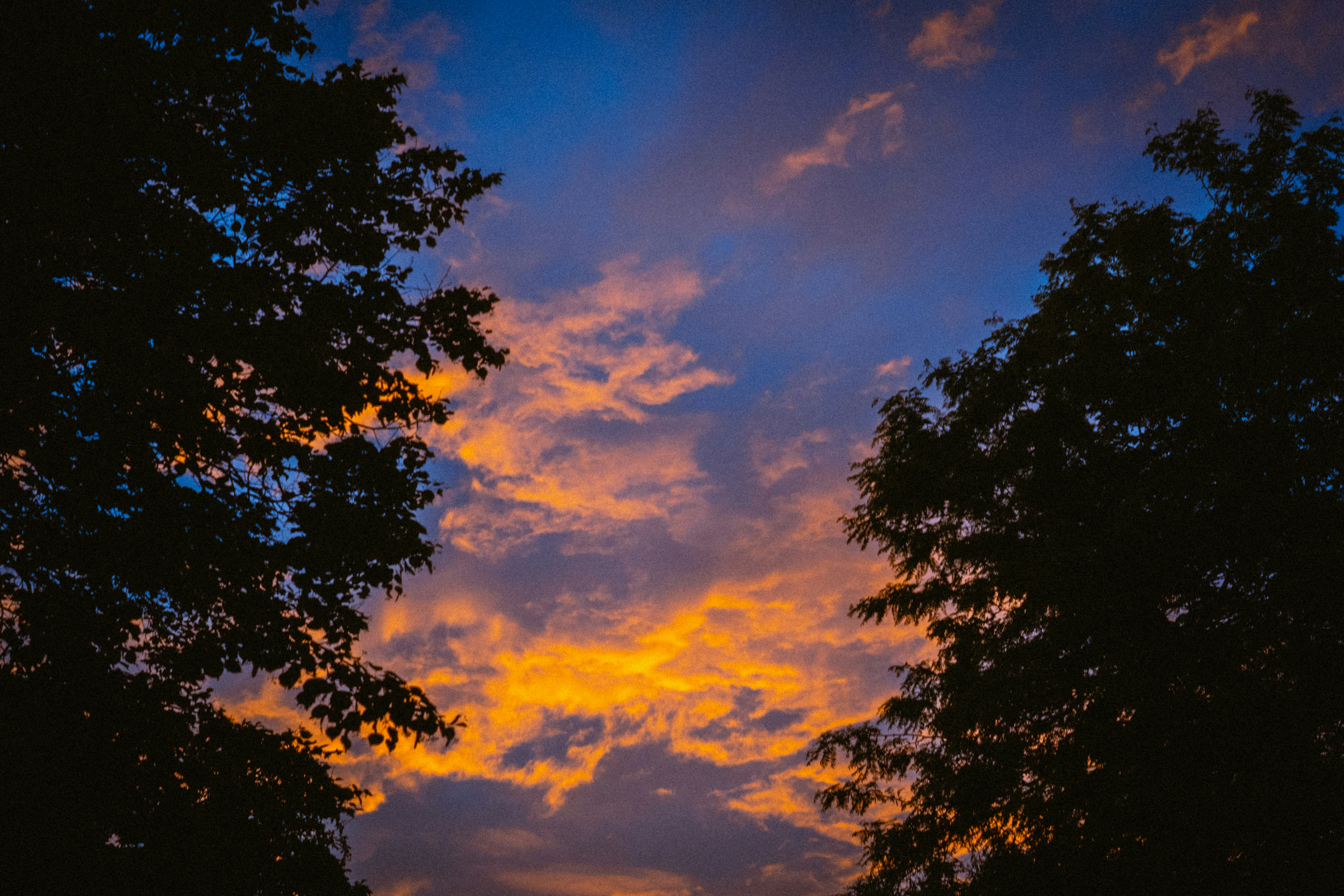 Photo by lacyec