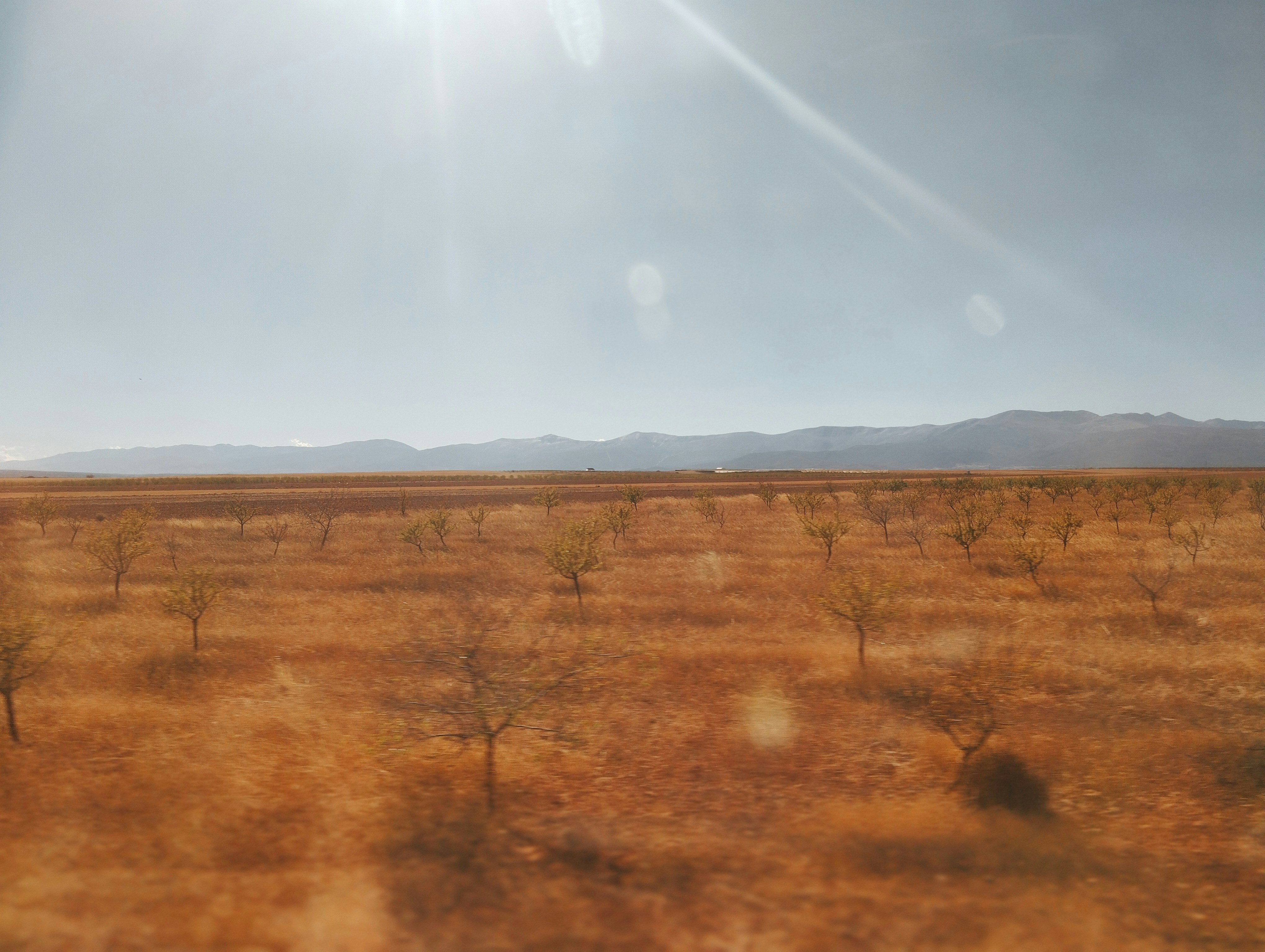 Mongolia’s fire rangers and Europe’s drought: how culture and climate collide
