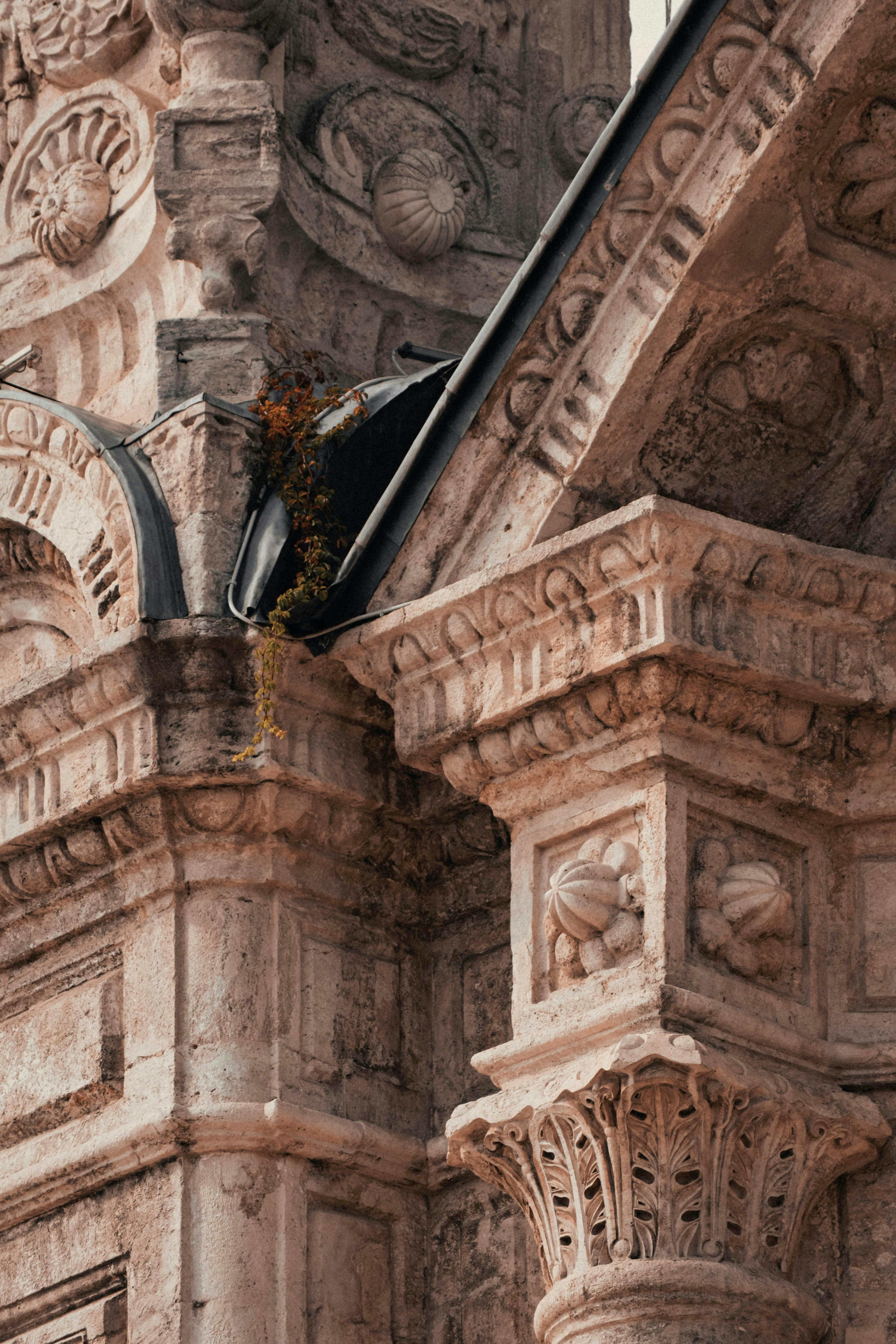 Intricate stone facade with classical columns and growing foliage