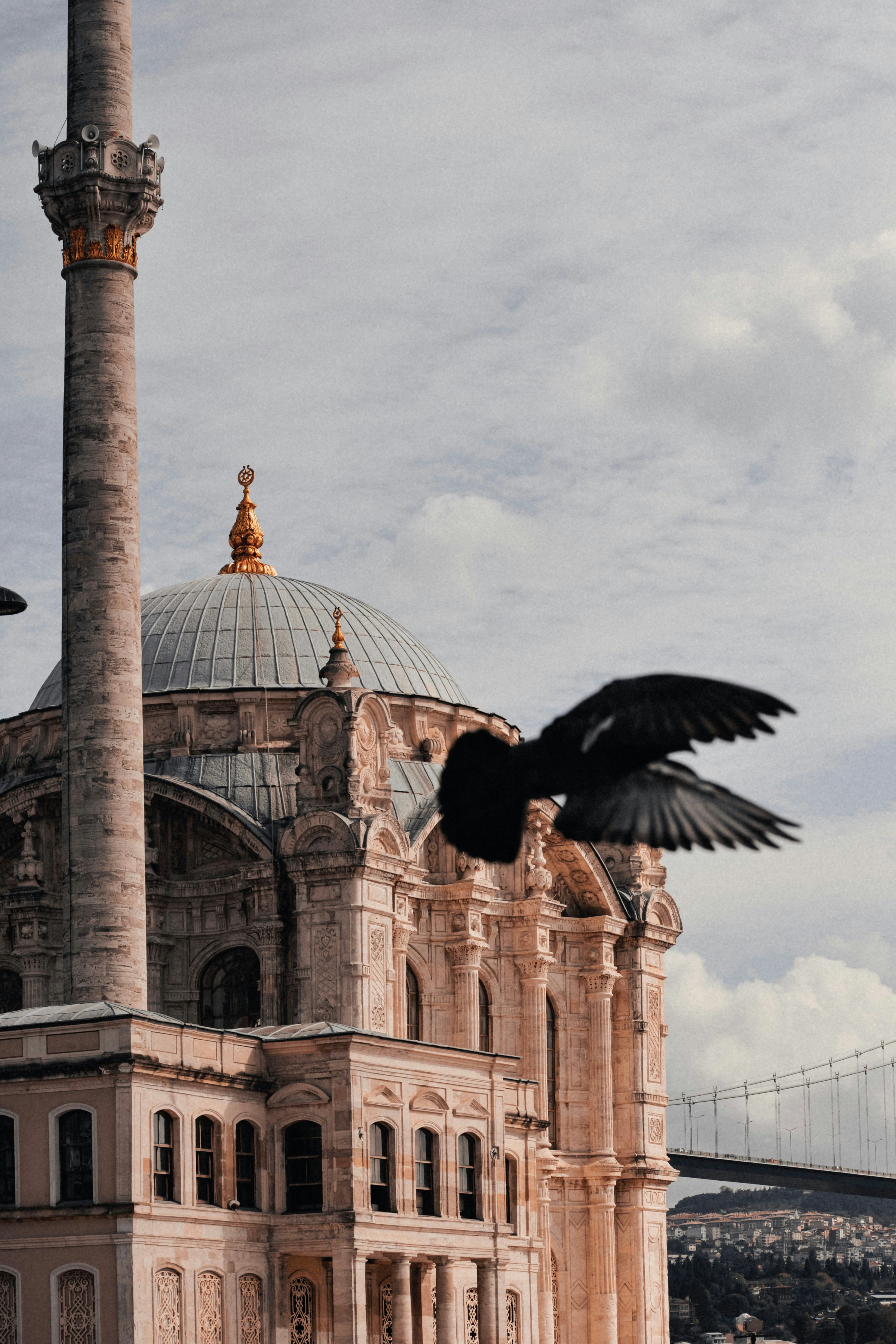 A bird flying past a grand mosque and a bridge