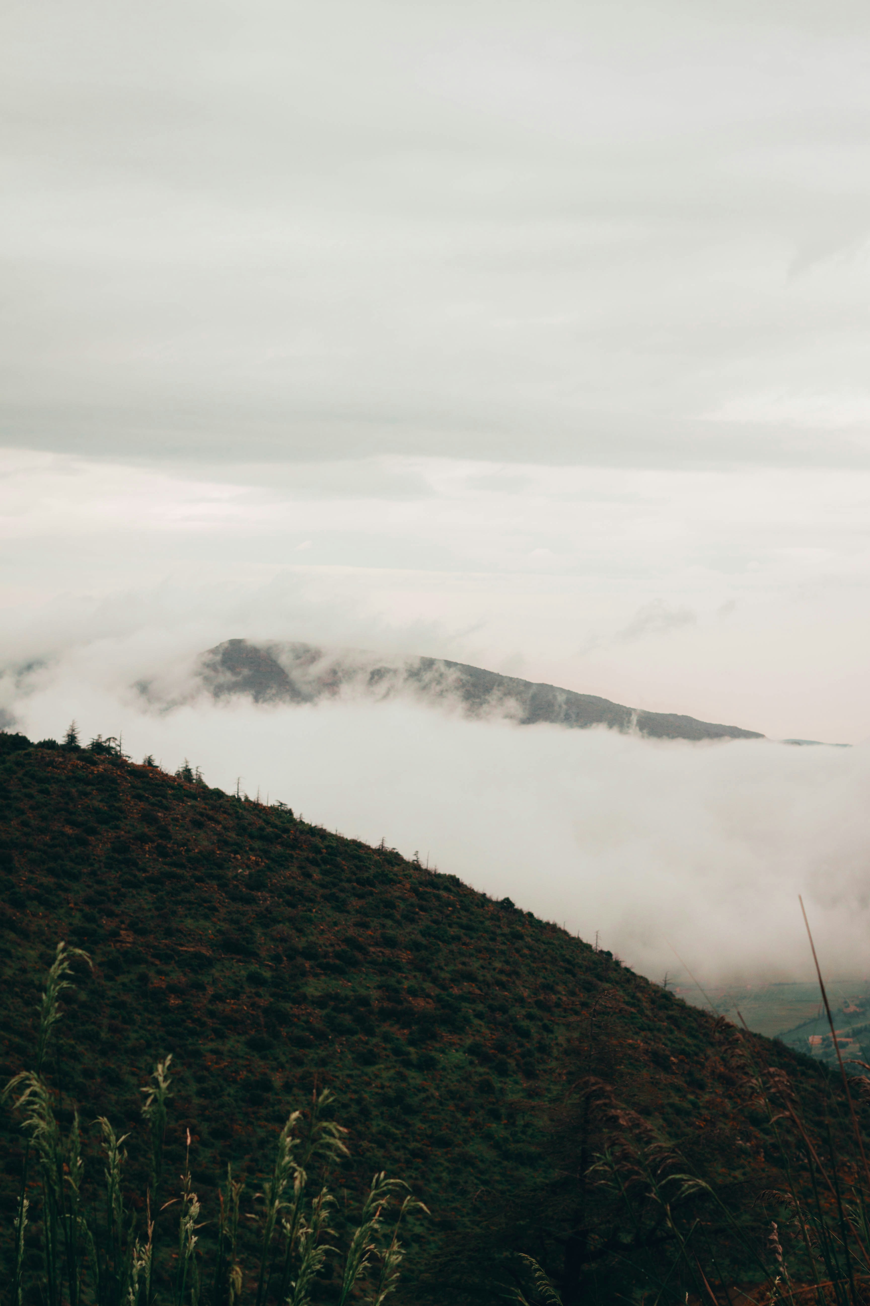 Photo by tomarquize