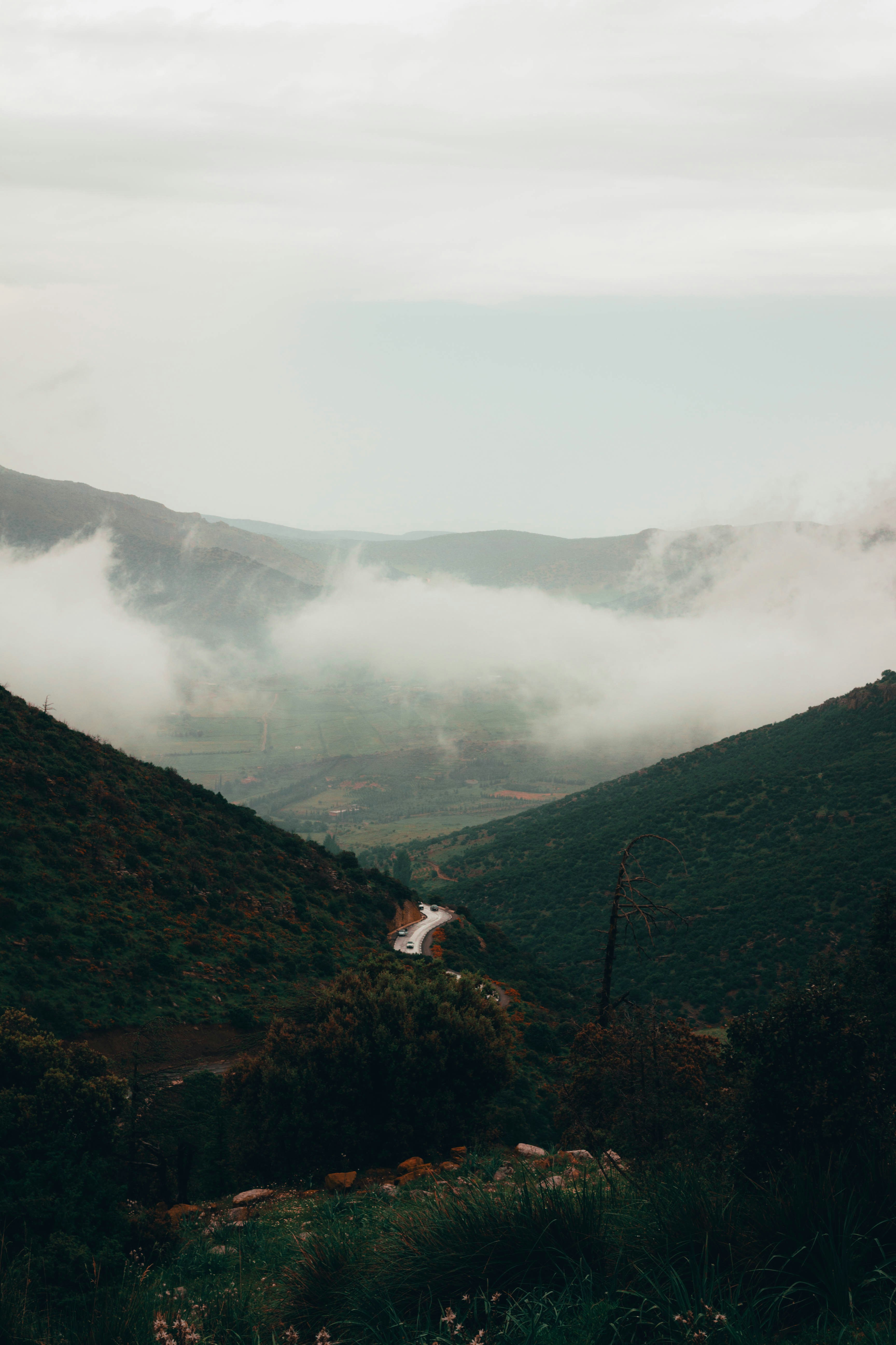 Photo by tomarquize