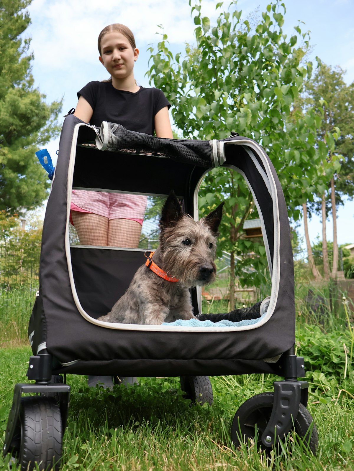 Person pushing a dog in a pet stroller outdoors on a sunny day