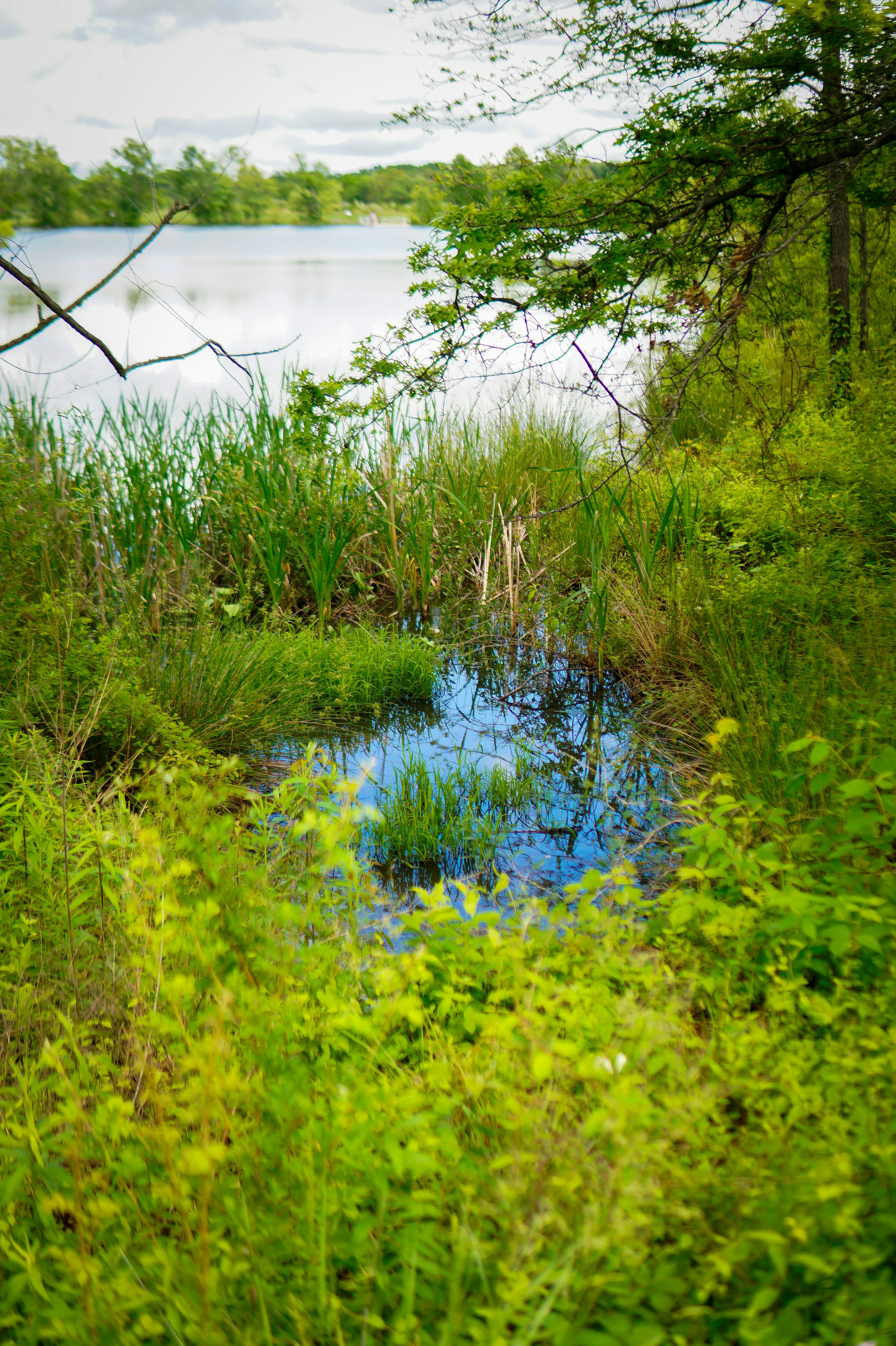 Photo by steinman_photography
