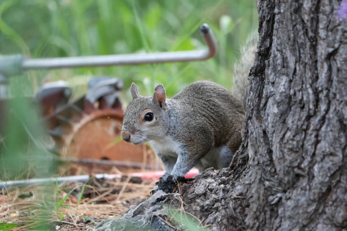 Recover Missed Welcome Sequences for Pest Control in 2026