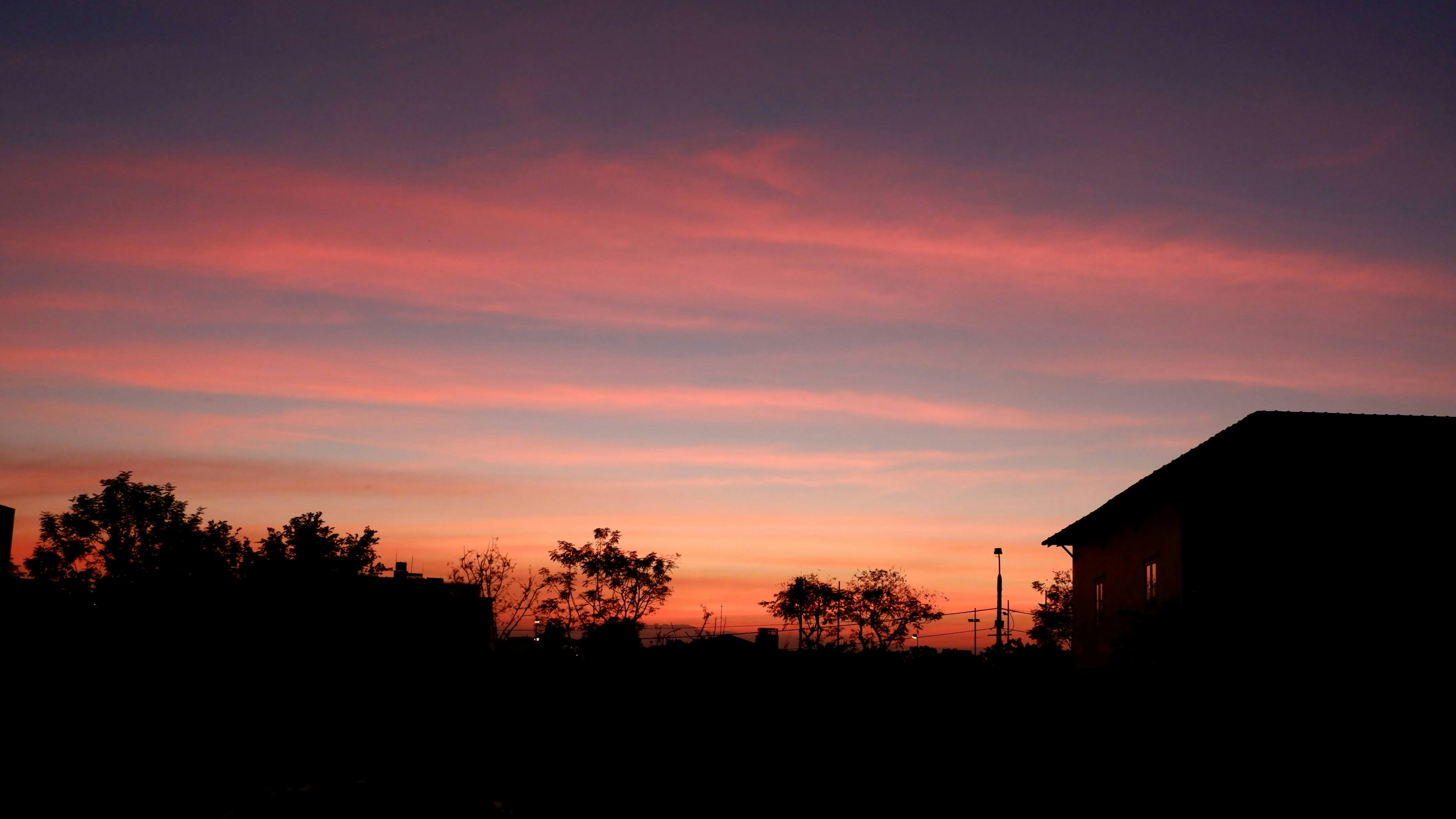 Photo by hoomanbeings