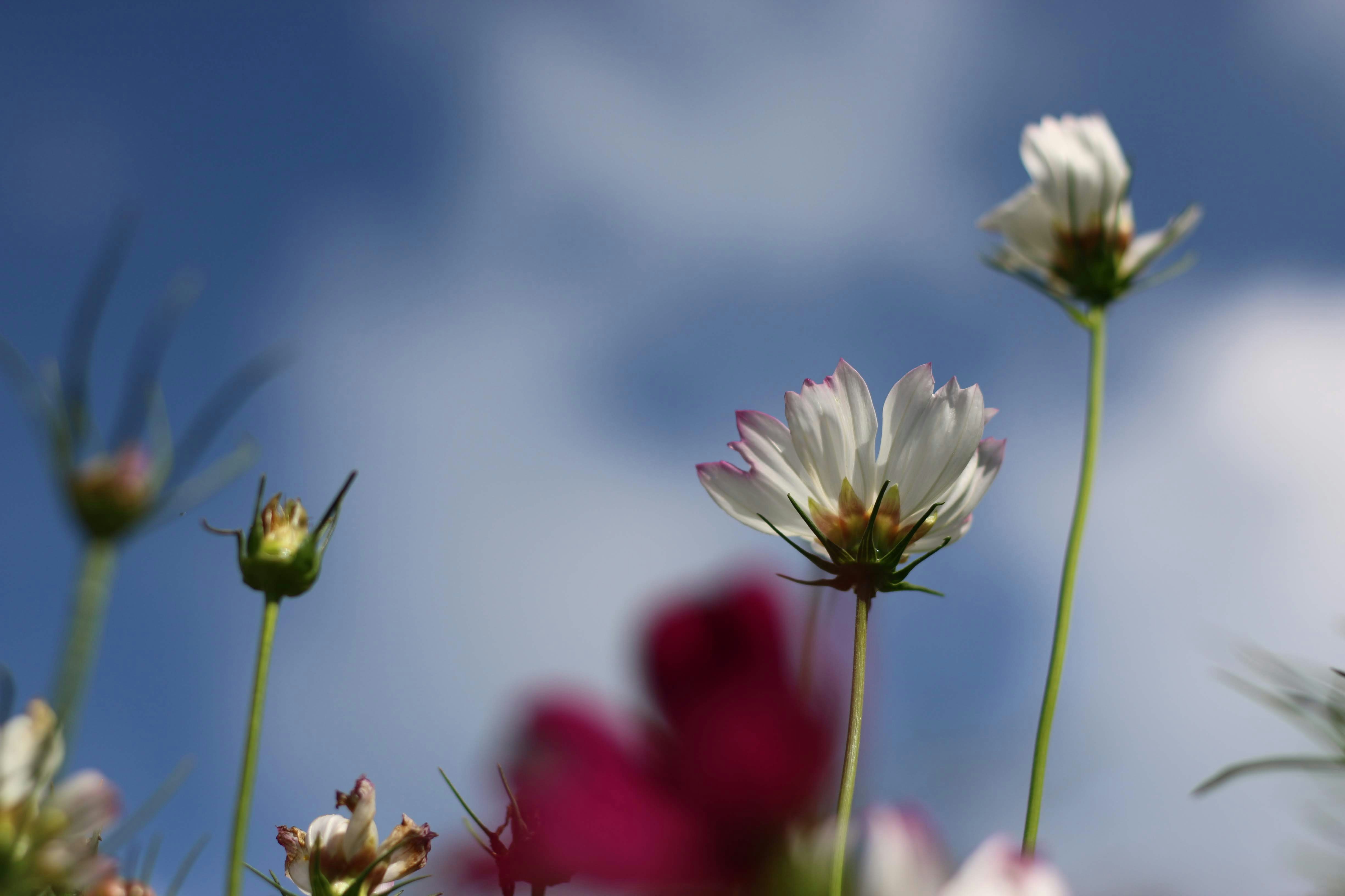 Photo by hoomanbeings