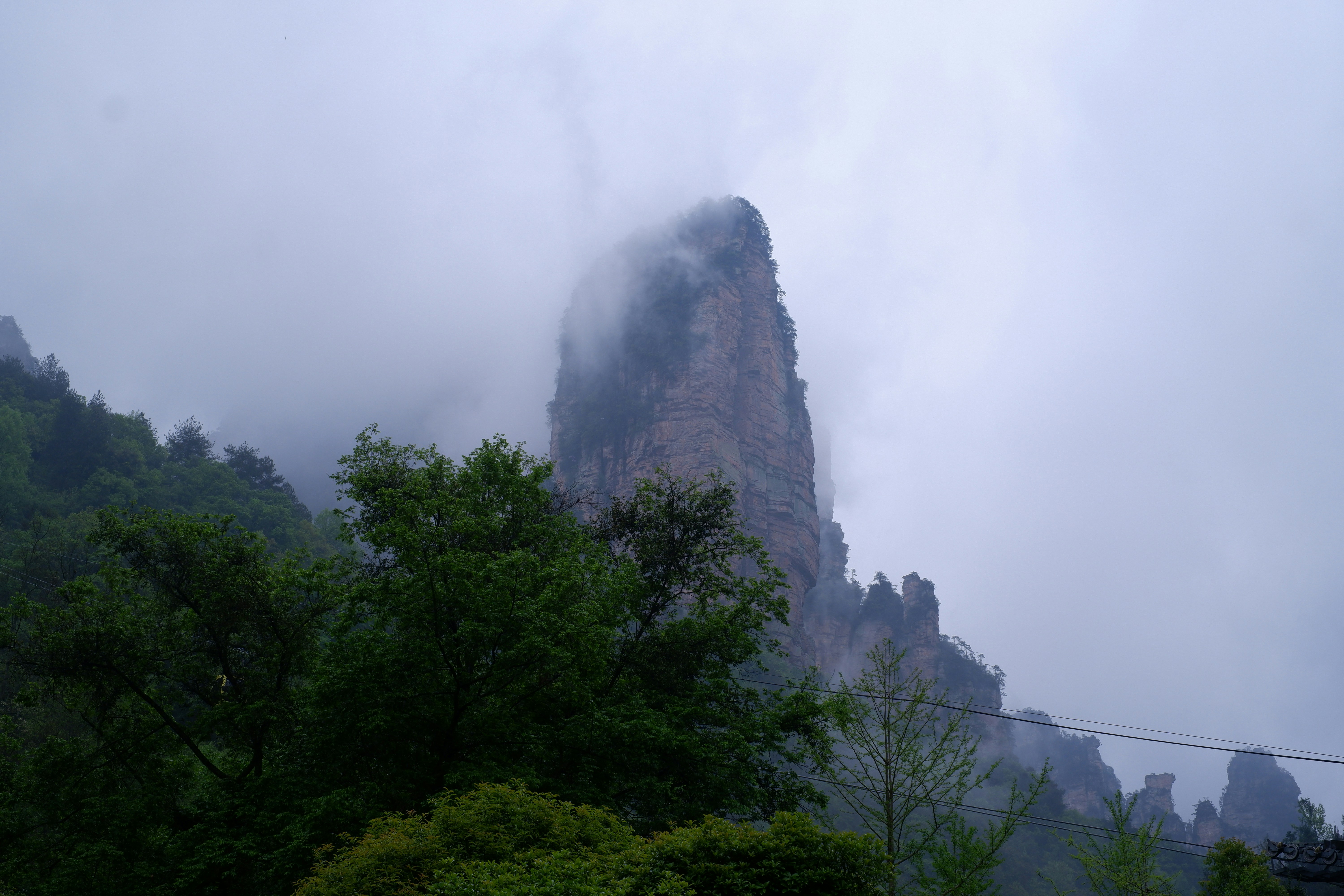 Photo by hoomanbeings