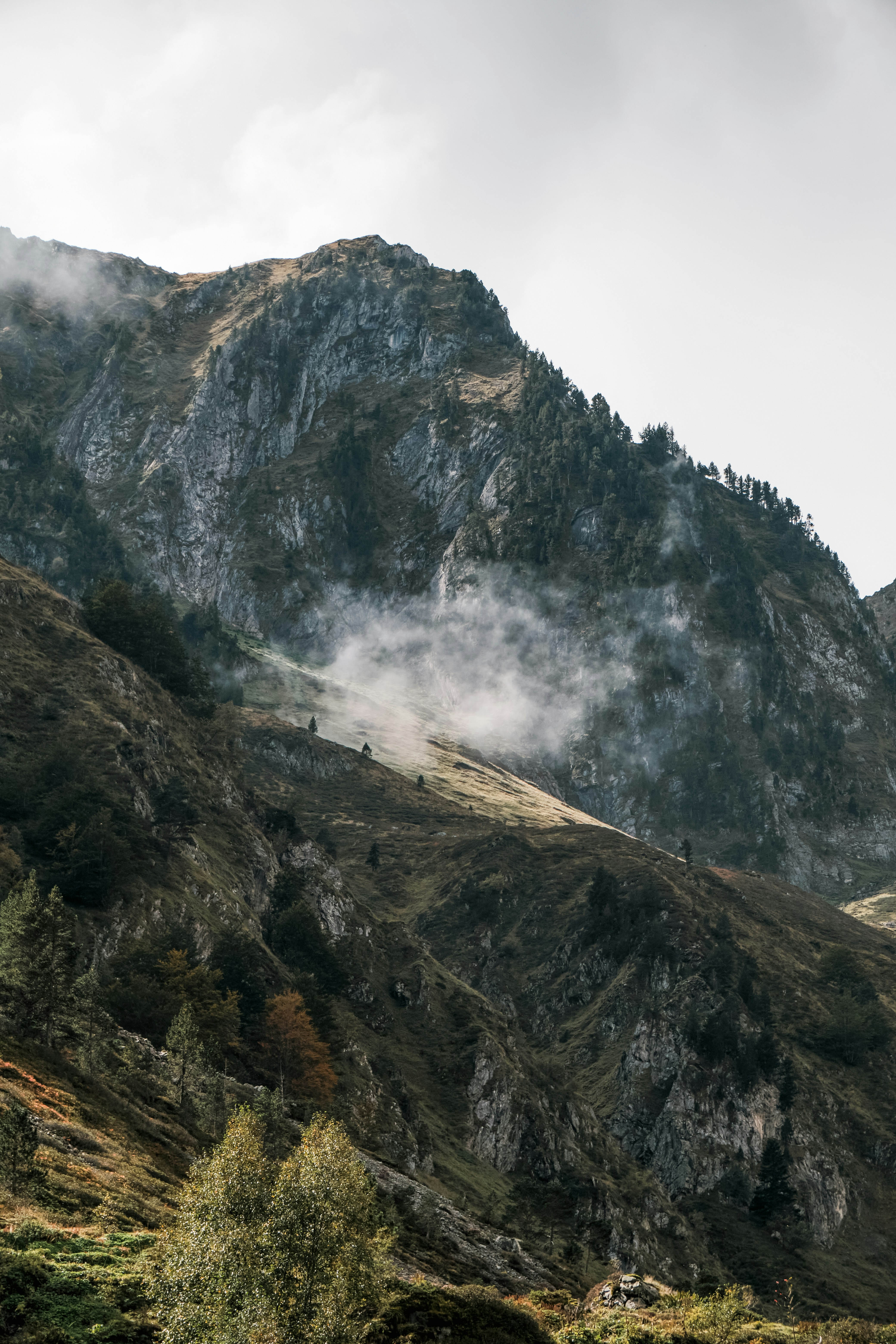 Rocky mountain with mist and trees under an overcast sky.