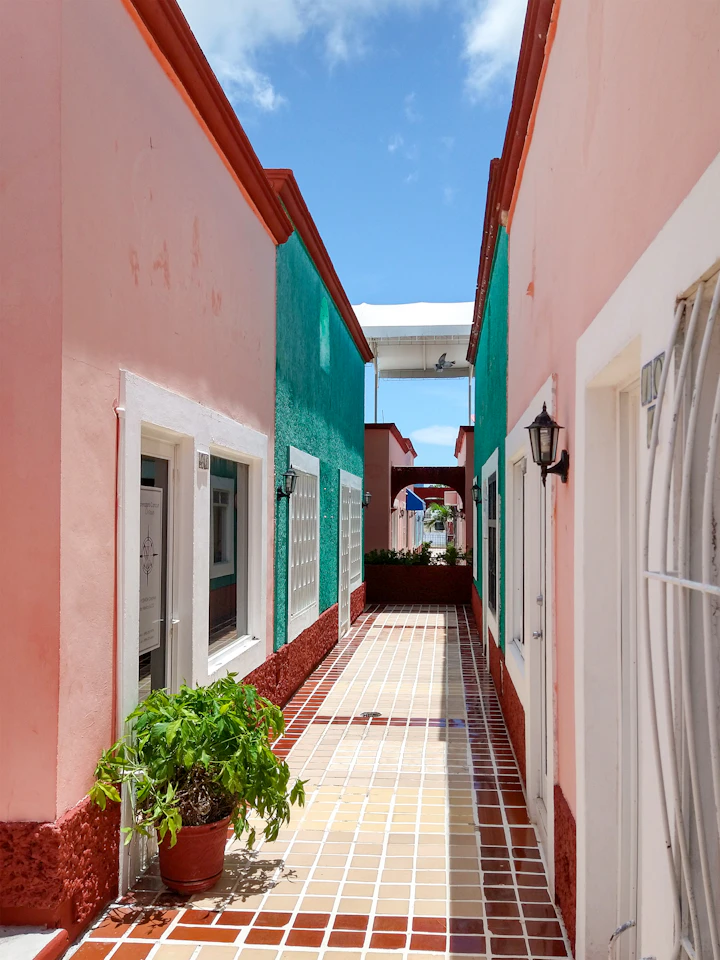 Callejón empedrado y colorido del centro histórico