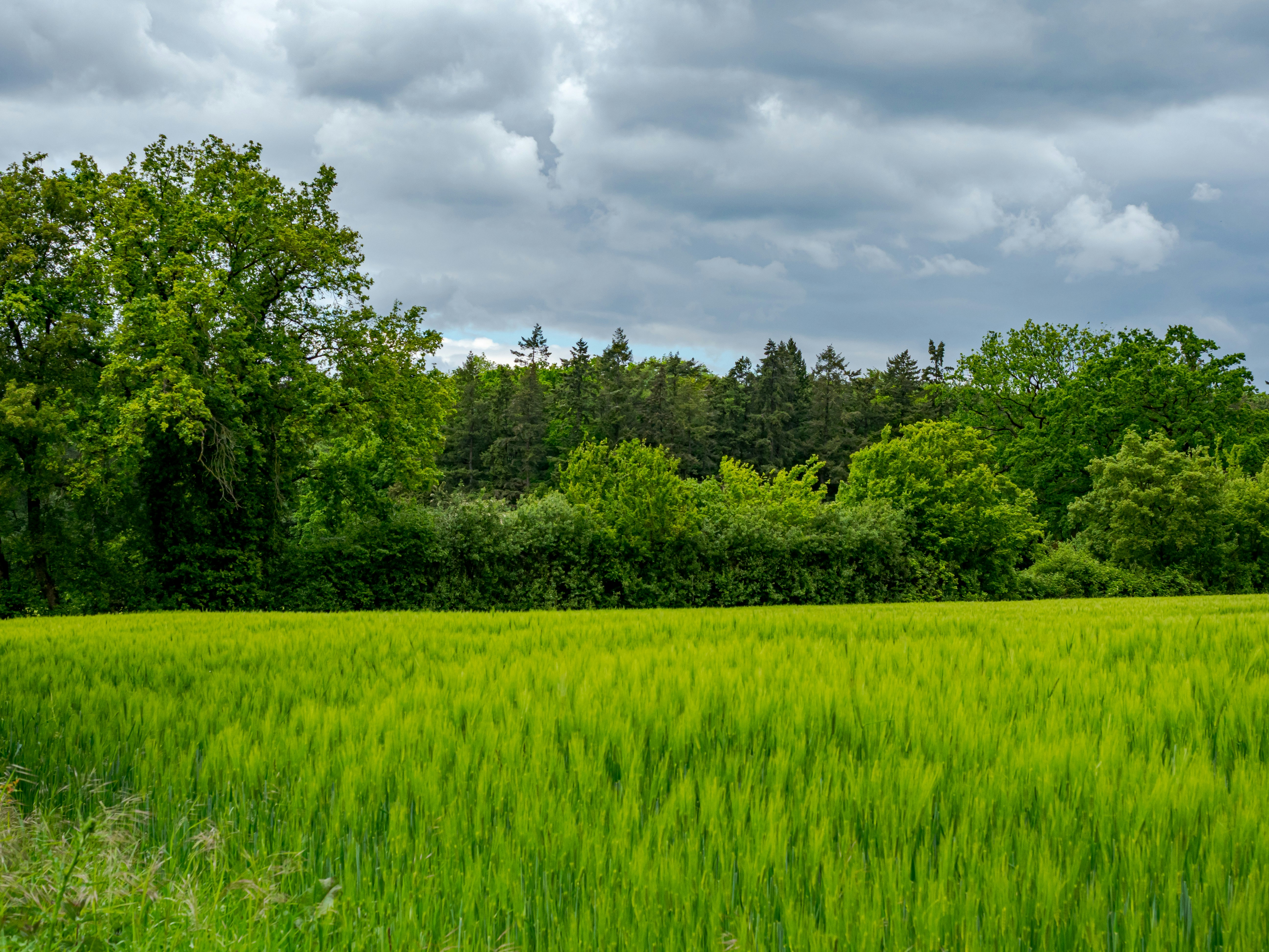 Photo by skstrannik