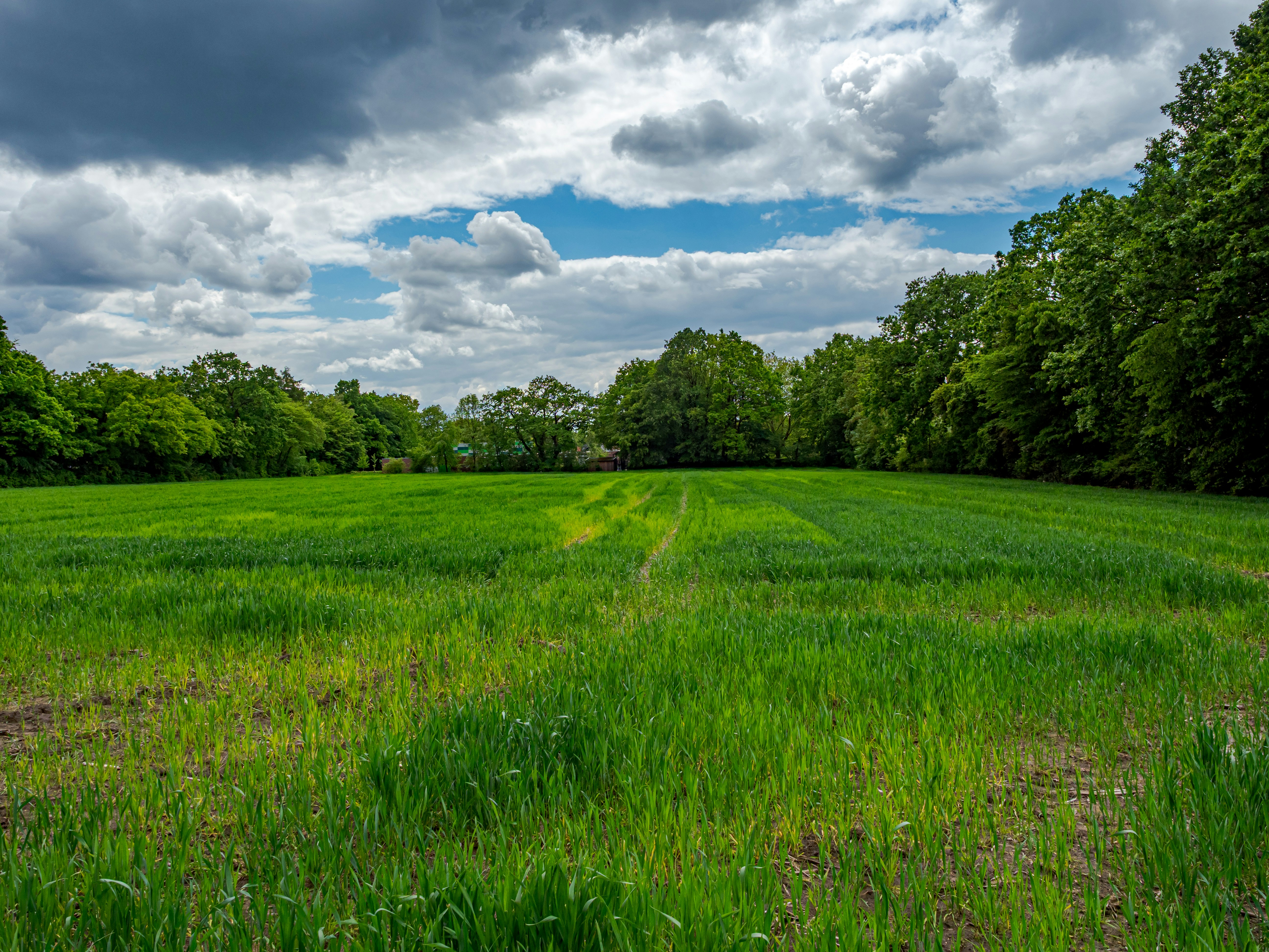 Photo by skstrannik