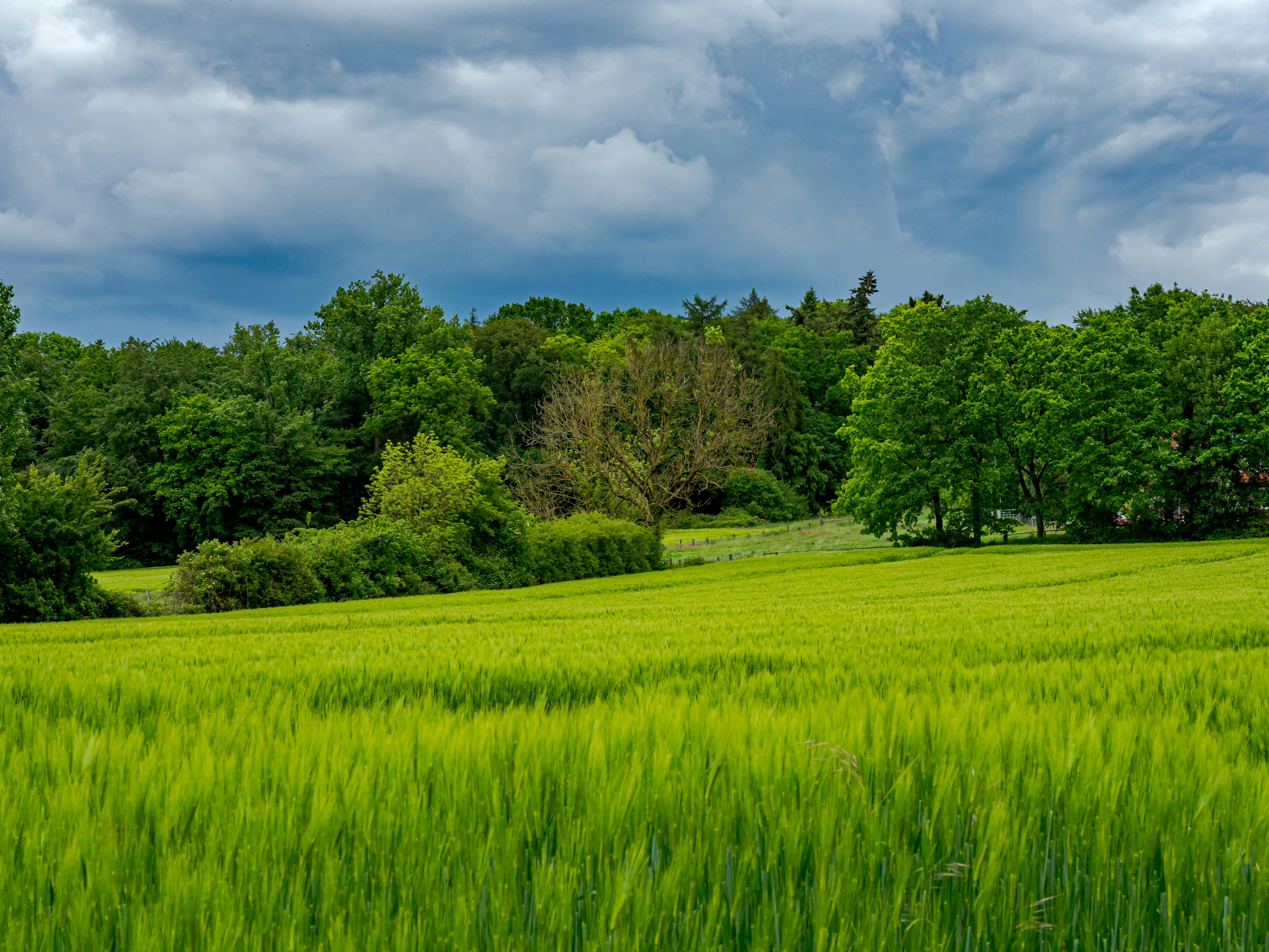 Photo by skstrannik