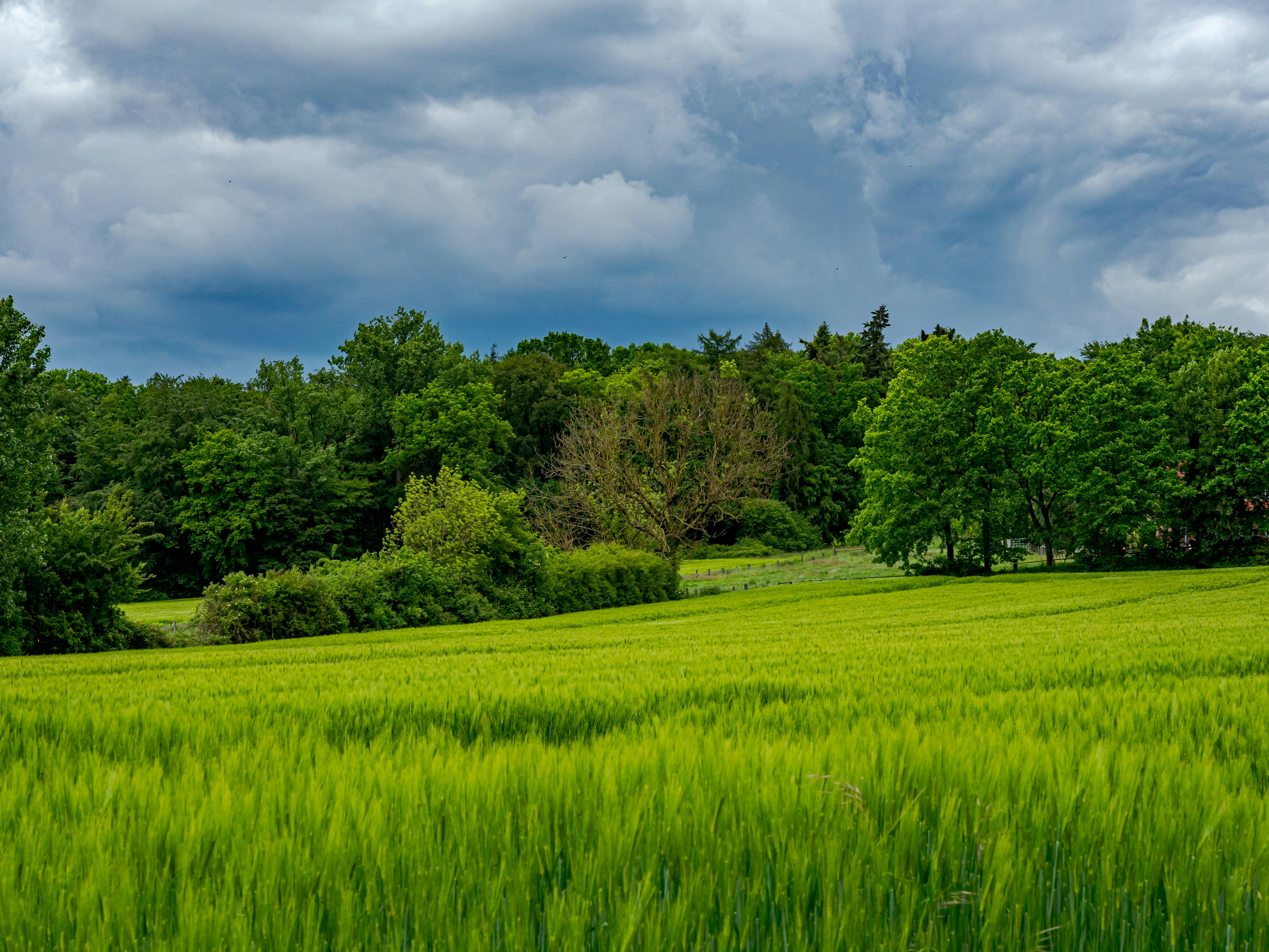 Photo by skstrannik
