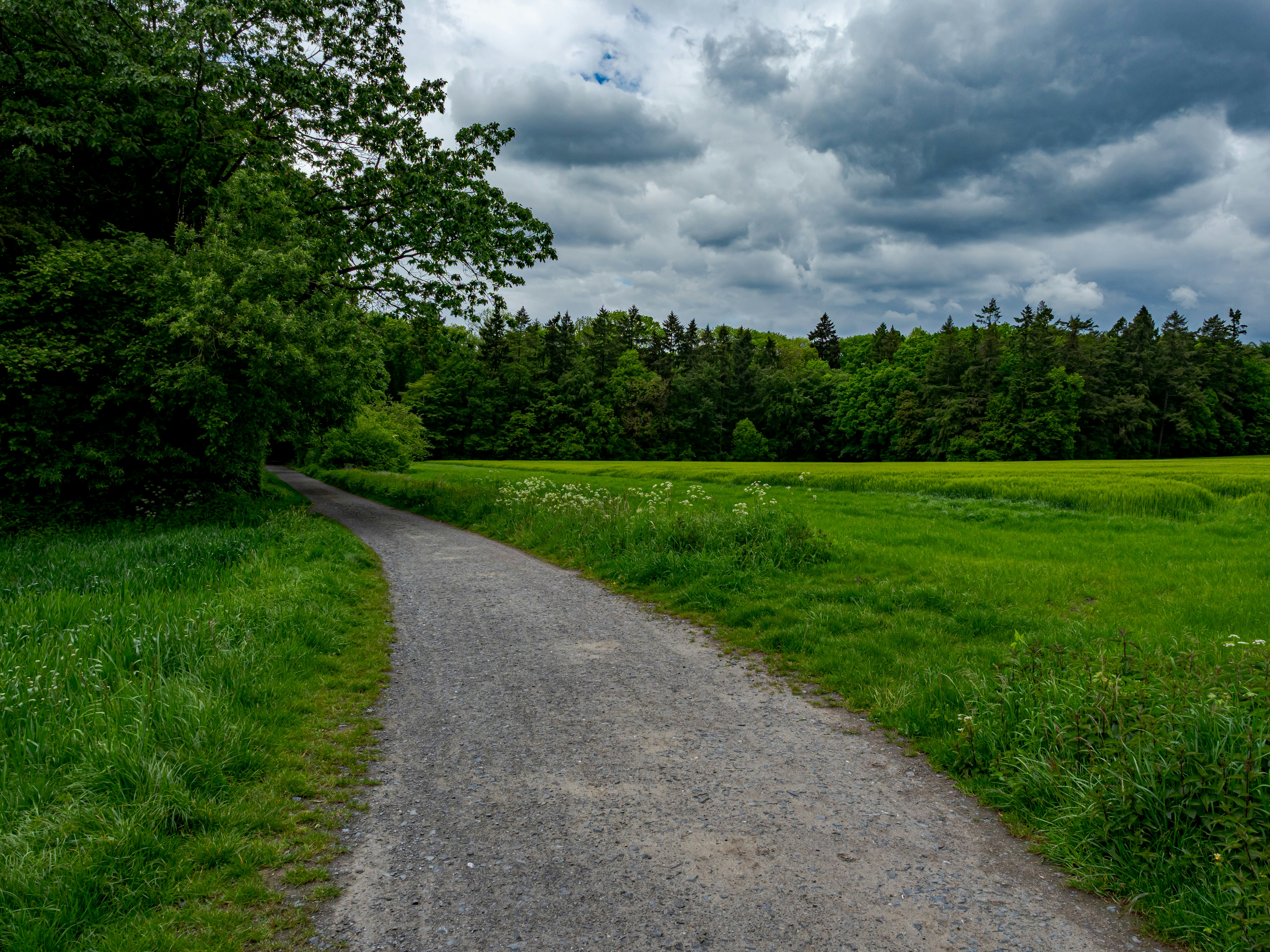 Photo by skstrannik