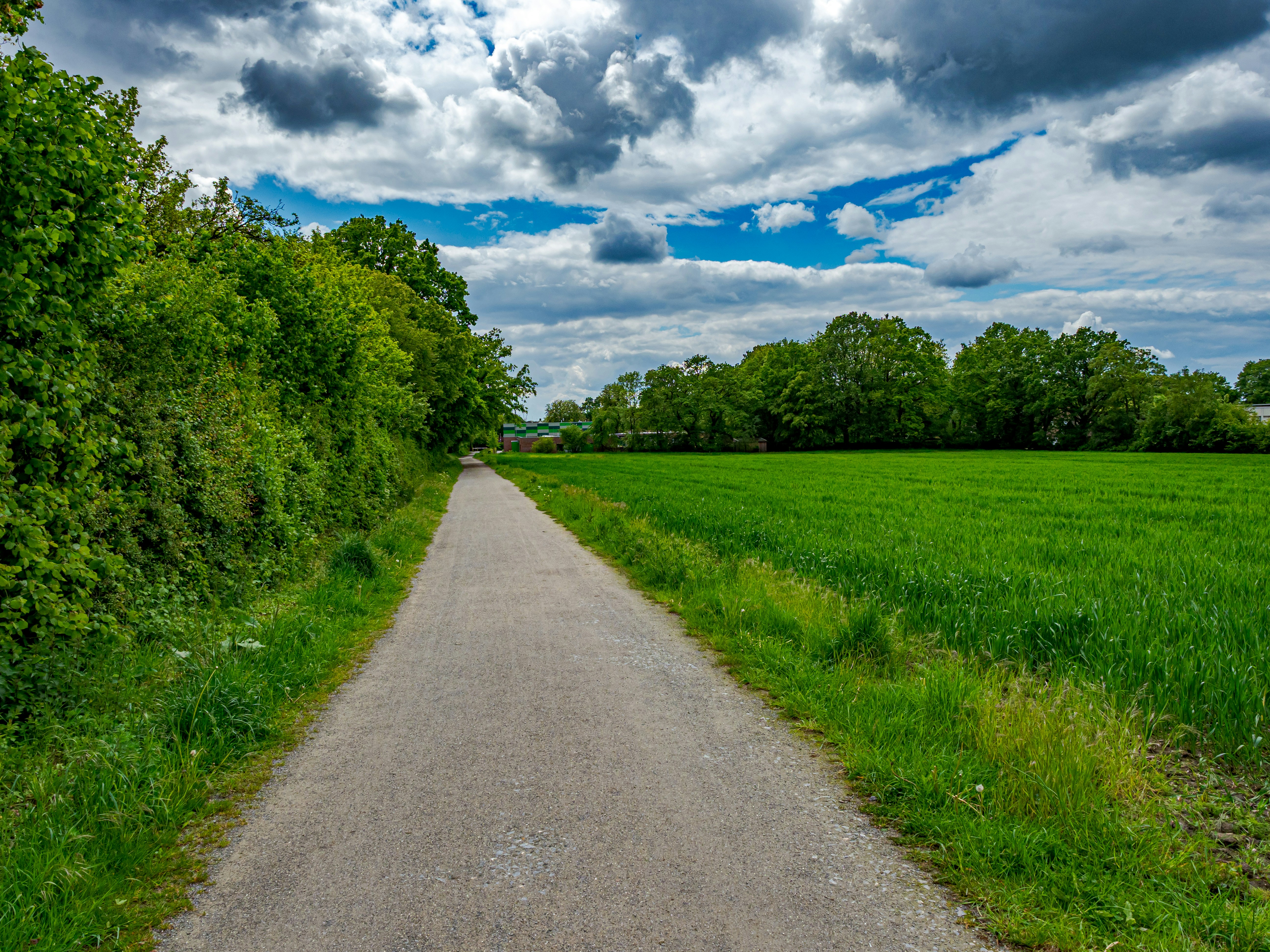 Photo by skstrannik