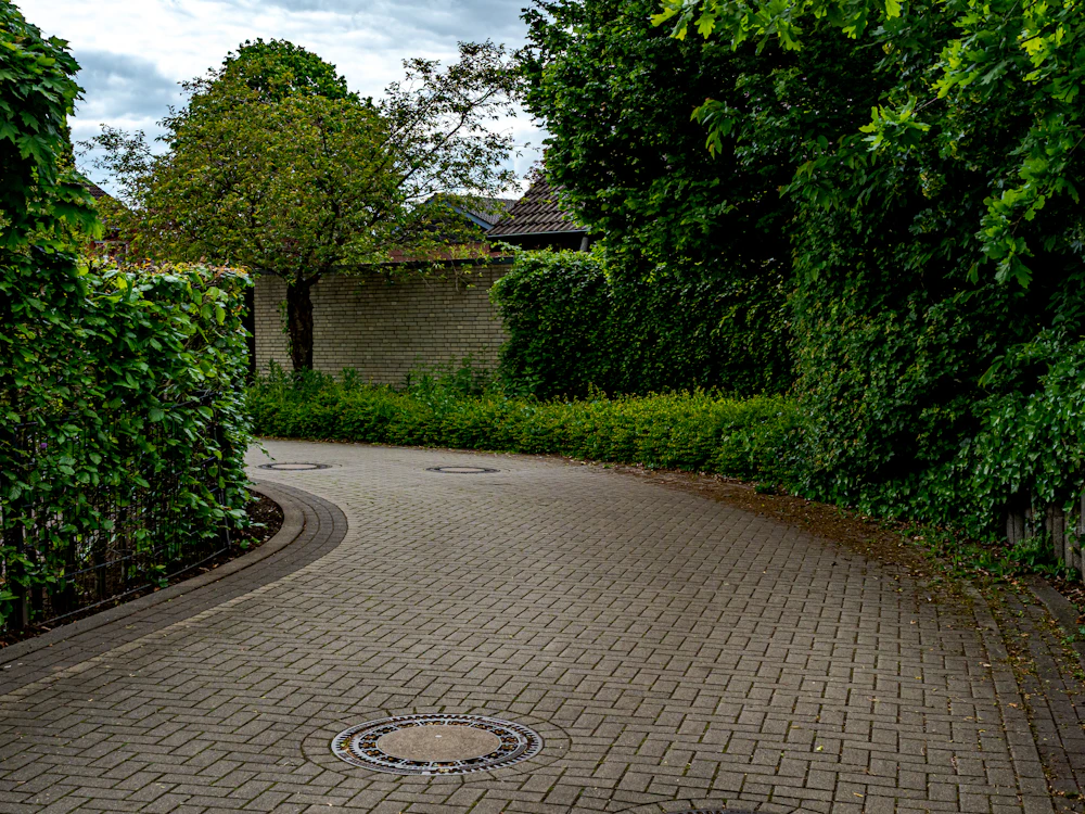 A block-paved drive curving between tall green hedges