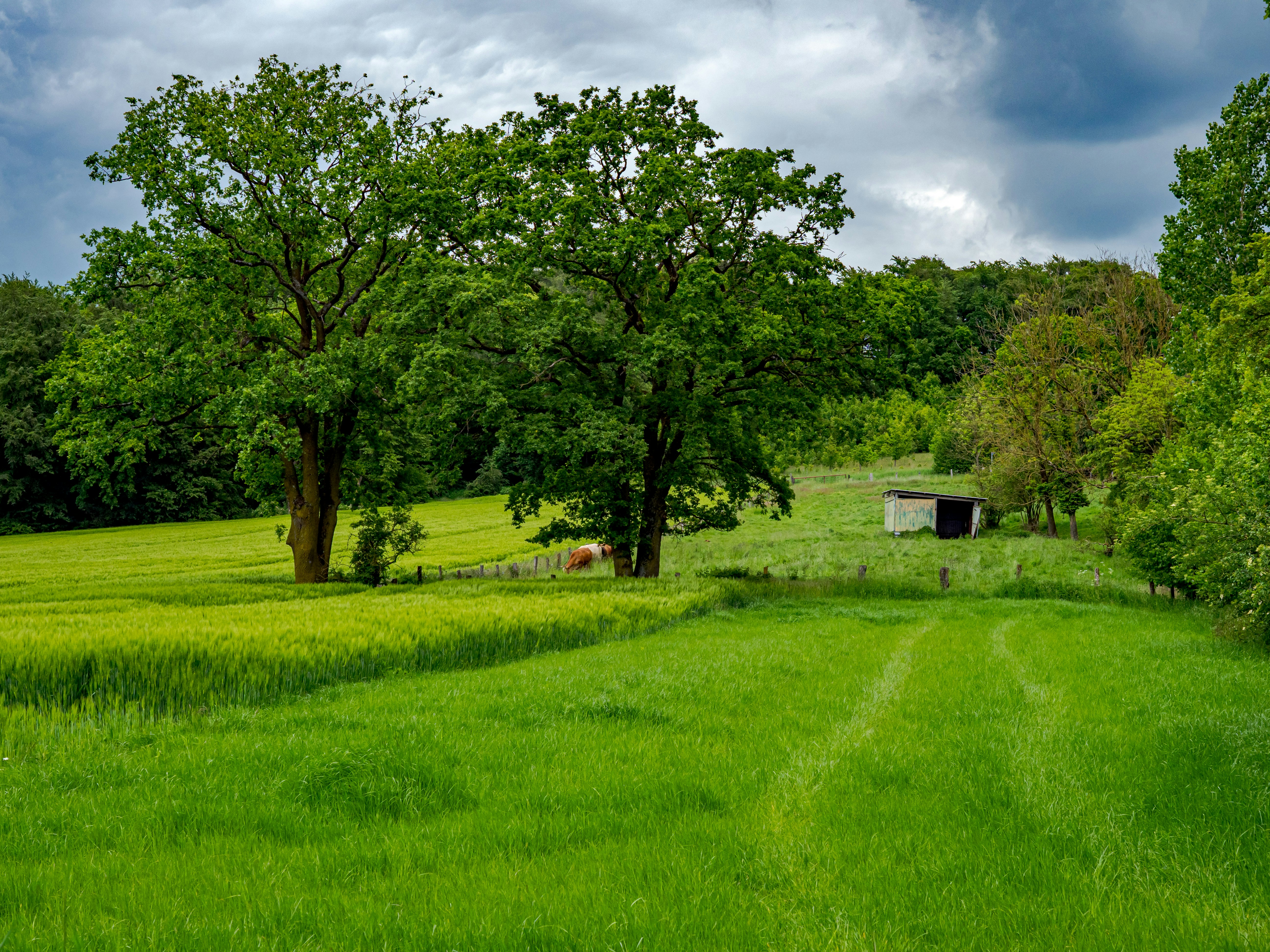 Photo by skstrannik