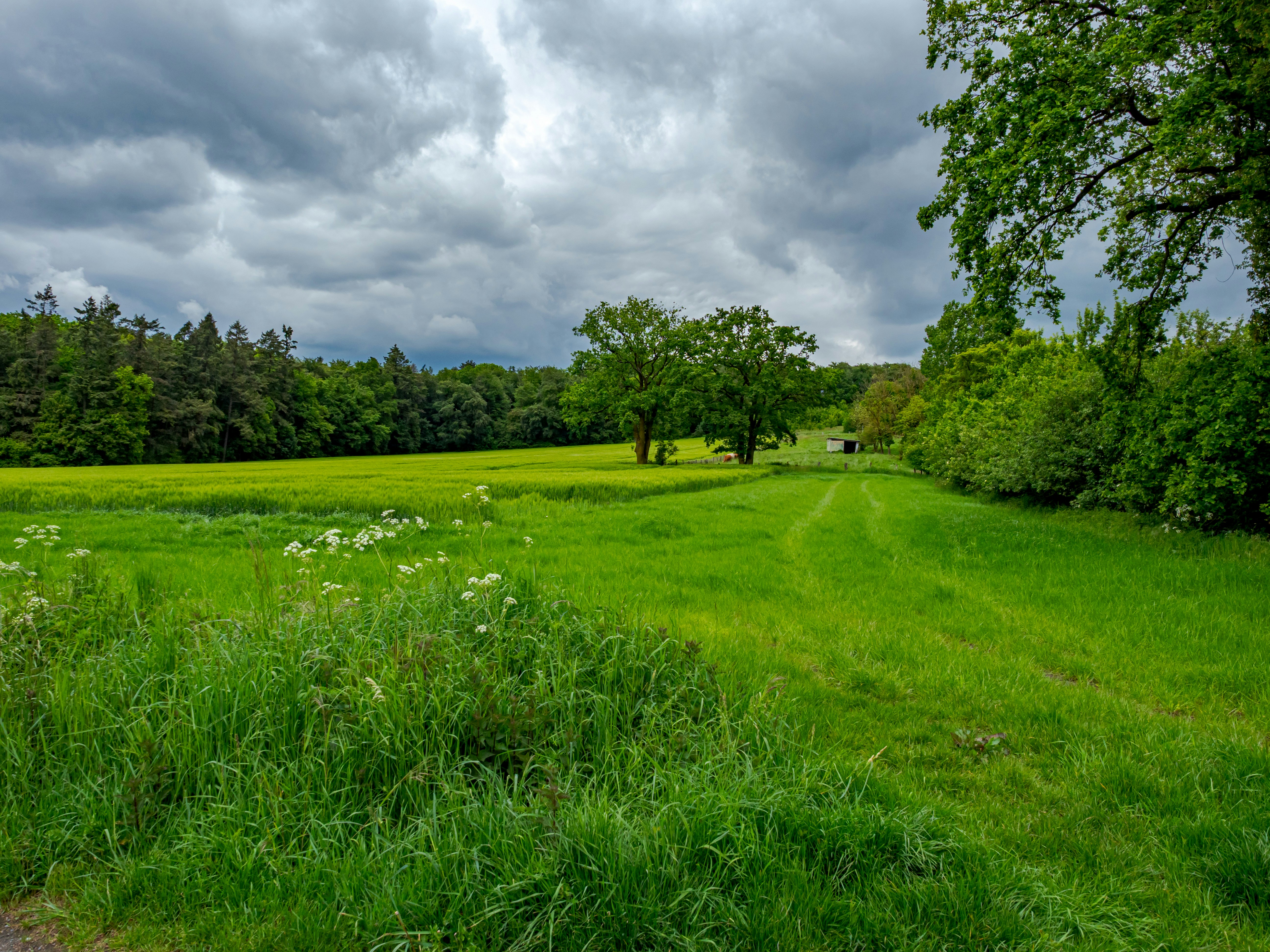 Photo by skstrannik