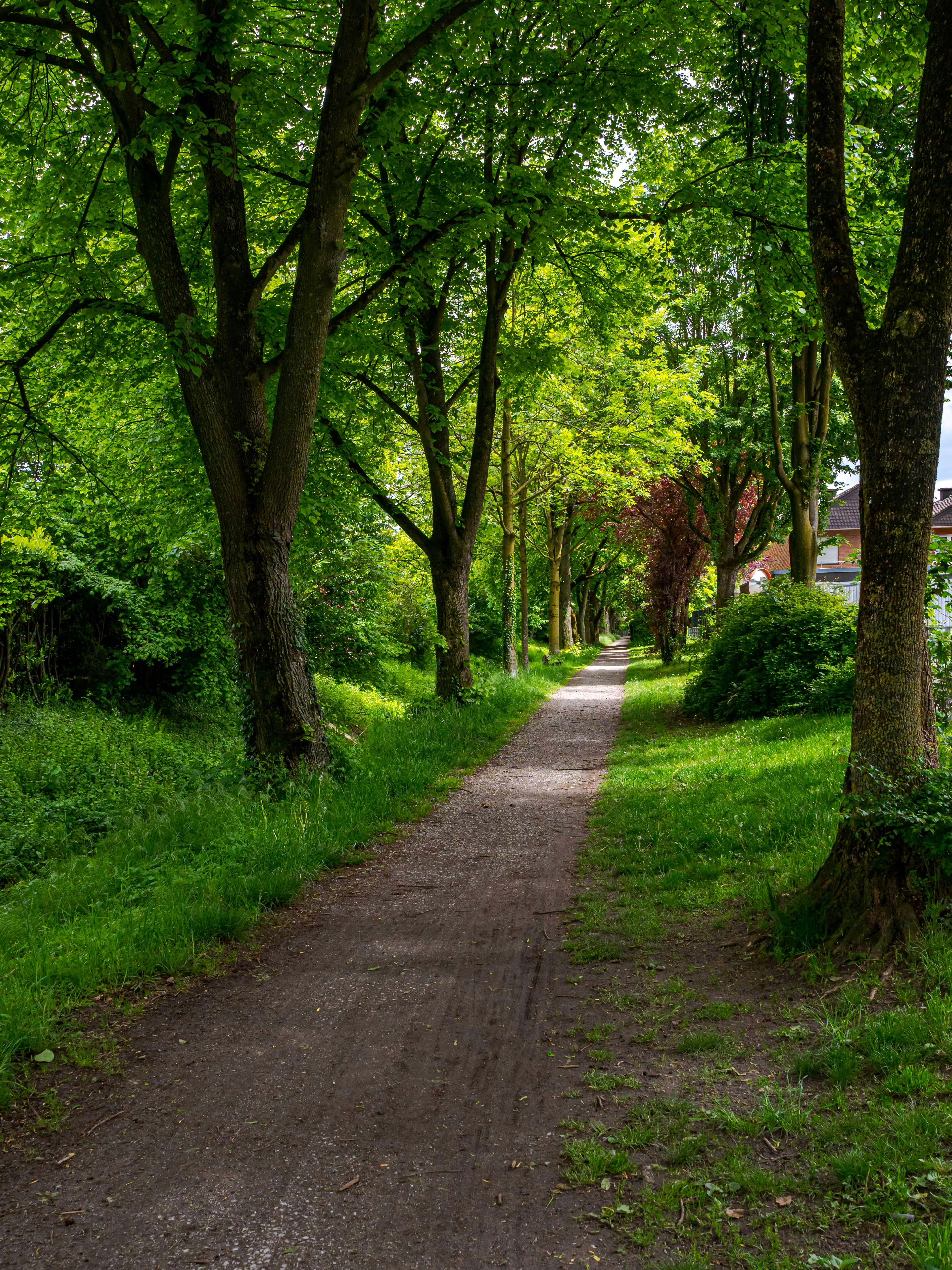 Photo by skstrannik