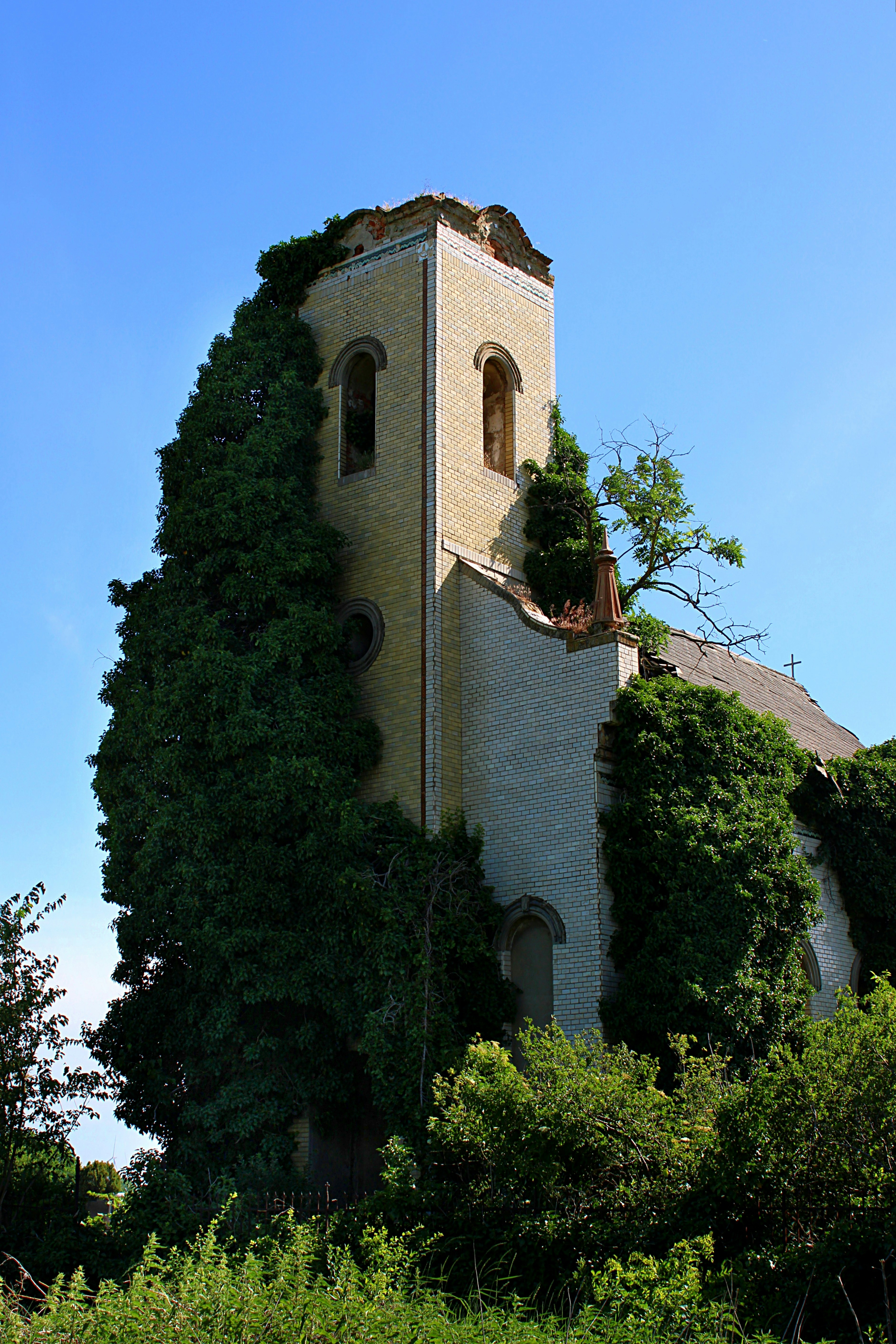 Ruined church tower covered in green ivy under blue sky.