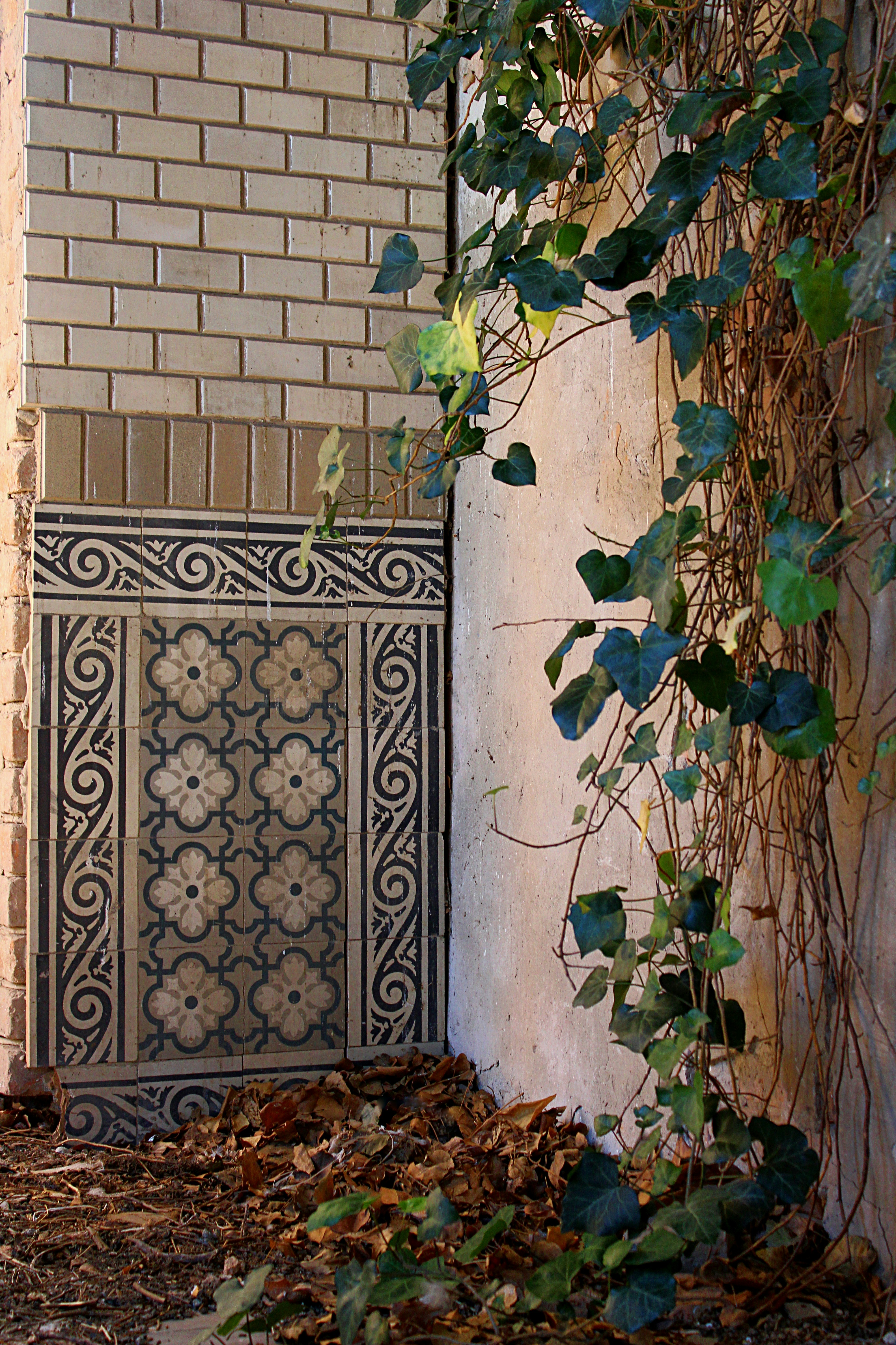 Ornate wall panel and climbing ivy on a building corner.