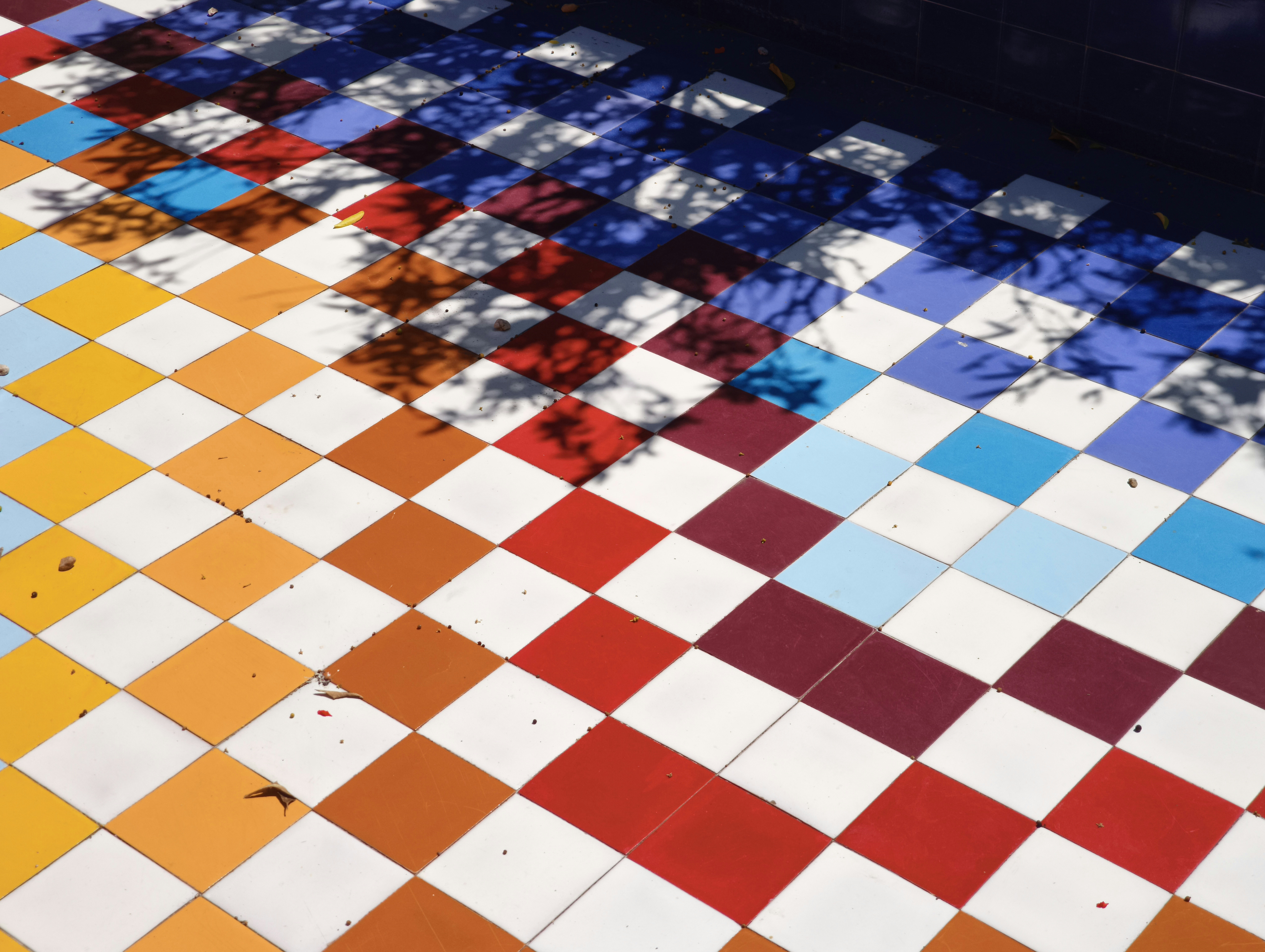 Leuchtend karierte Poolkacheln mit gesprenkelten Baumschatten.
