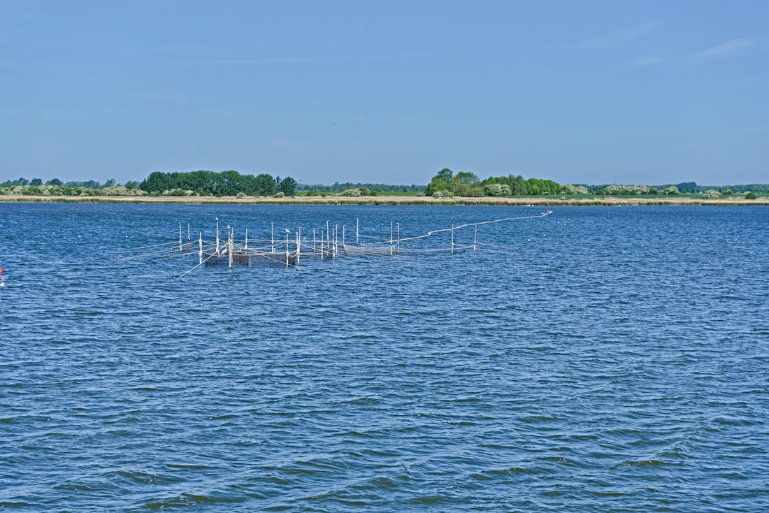 Fish farm structures in blue water with a distant shoreline