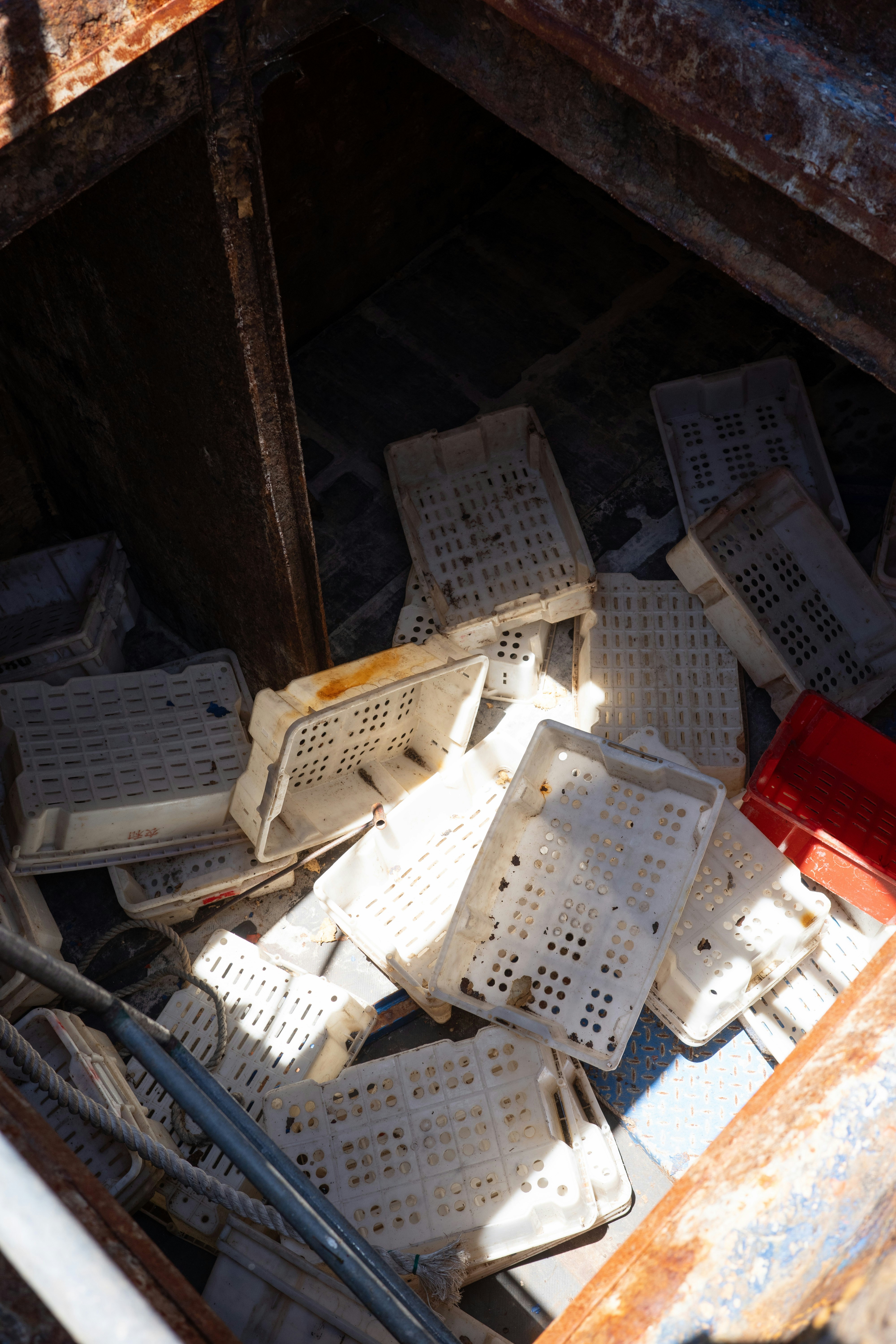 A pile of white plastic crates inside a rusty container
