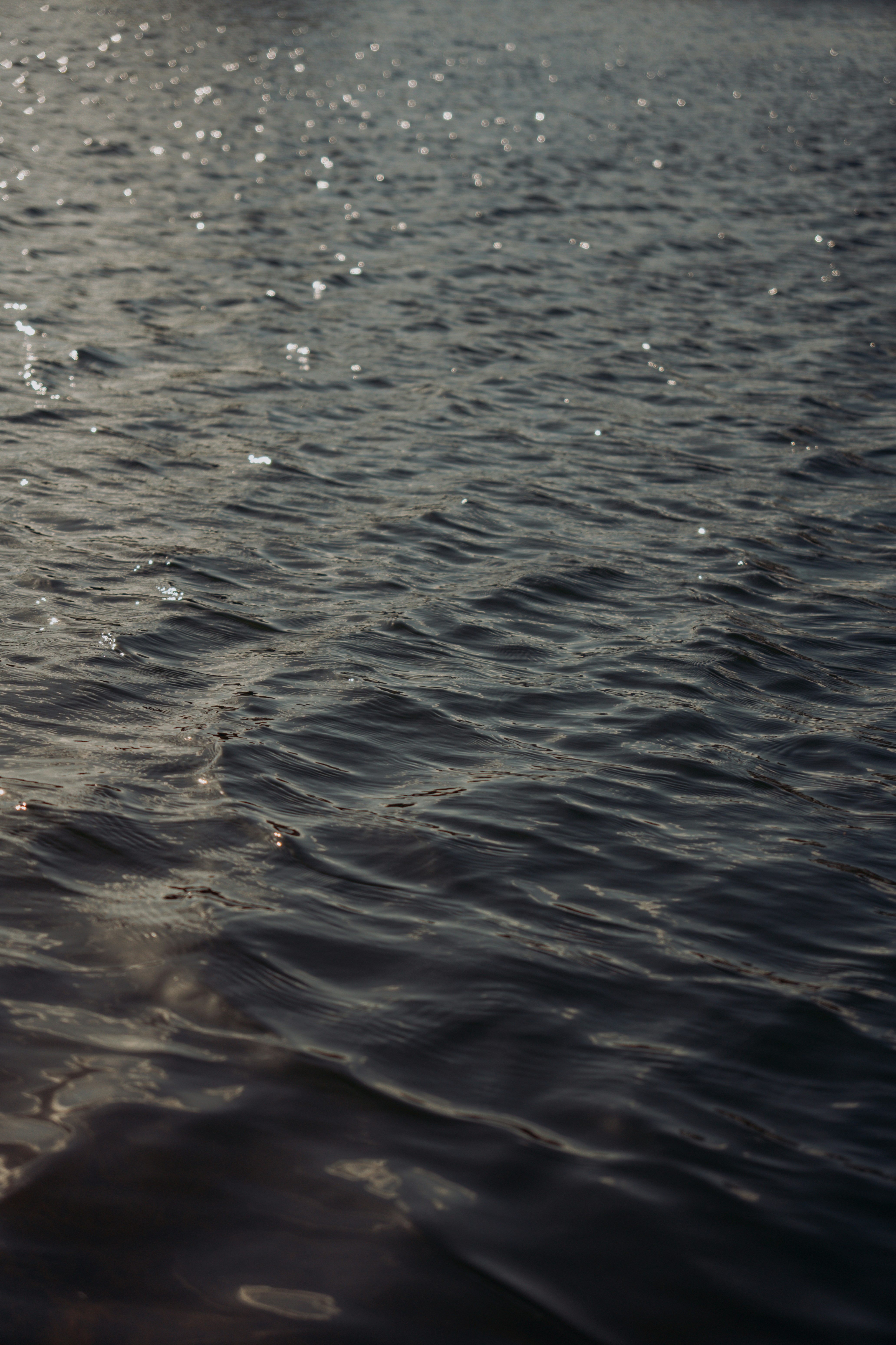 Photo by themrbranoo