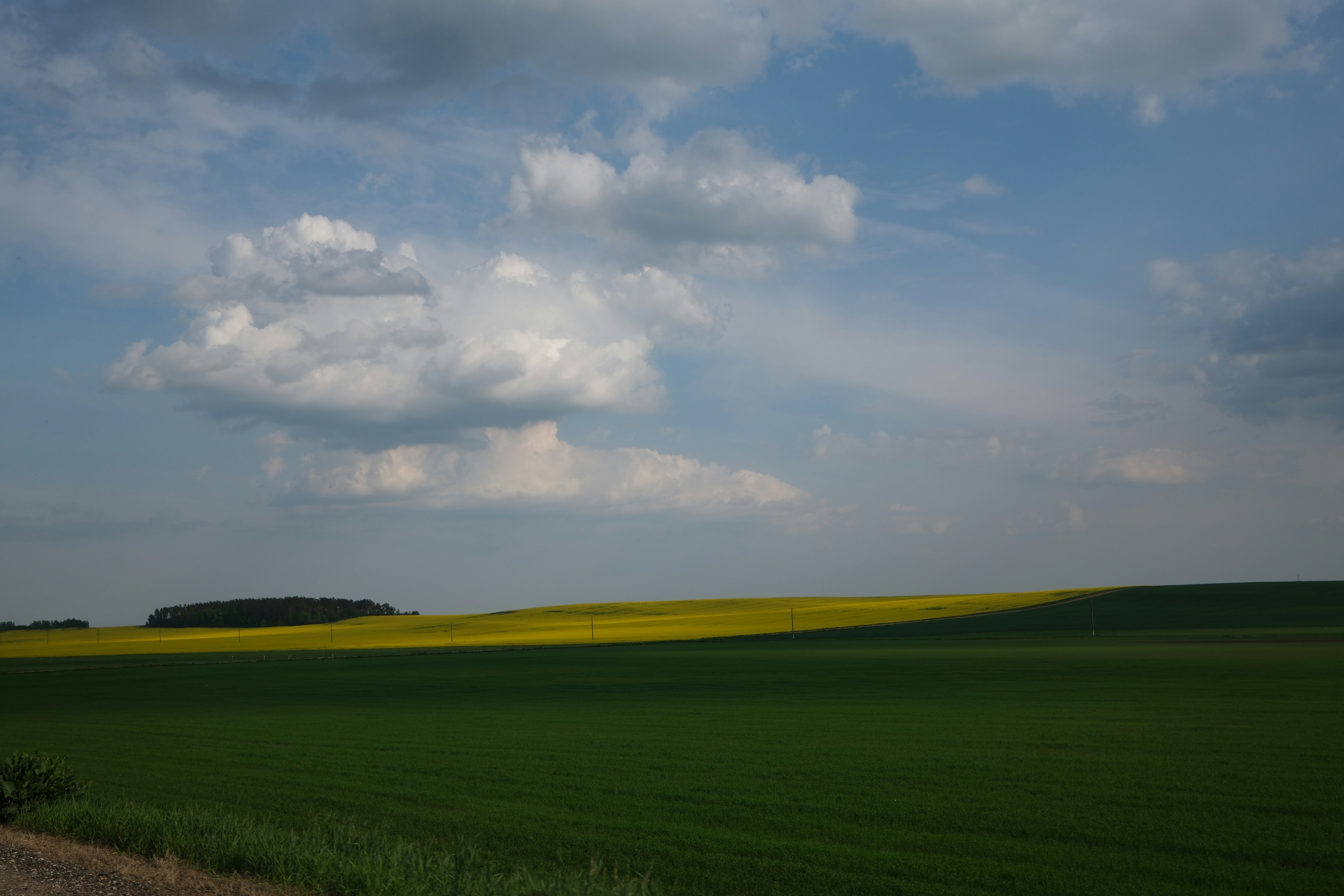 Photo by borzenkov
