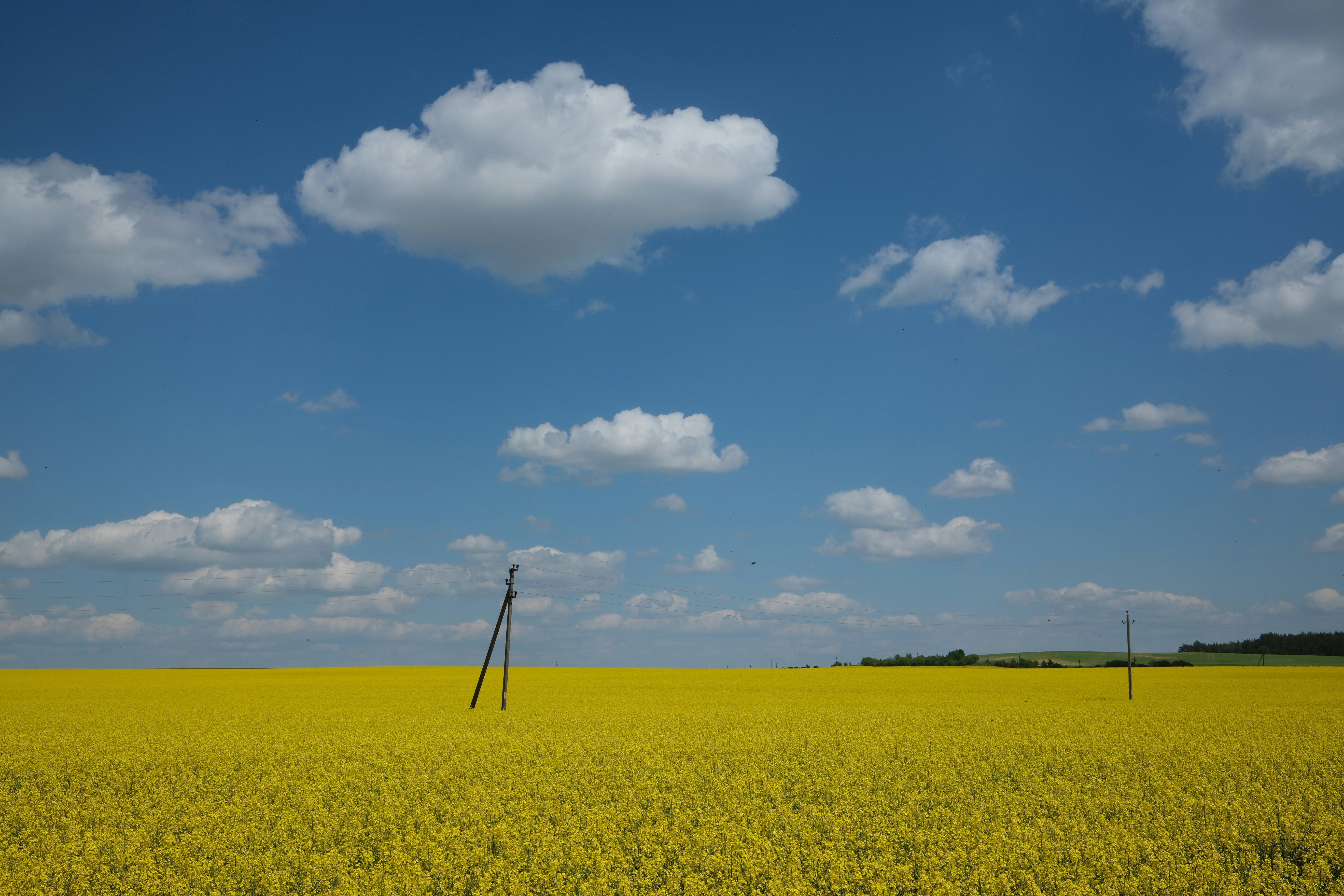Photo by borzenkov
