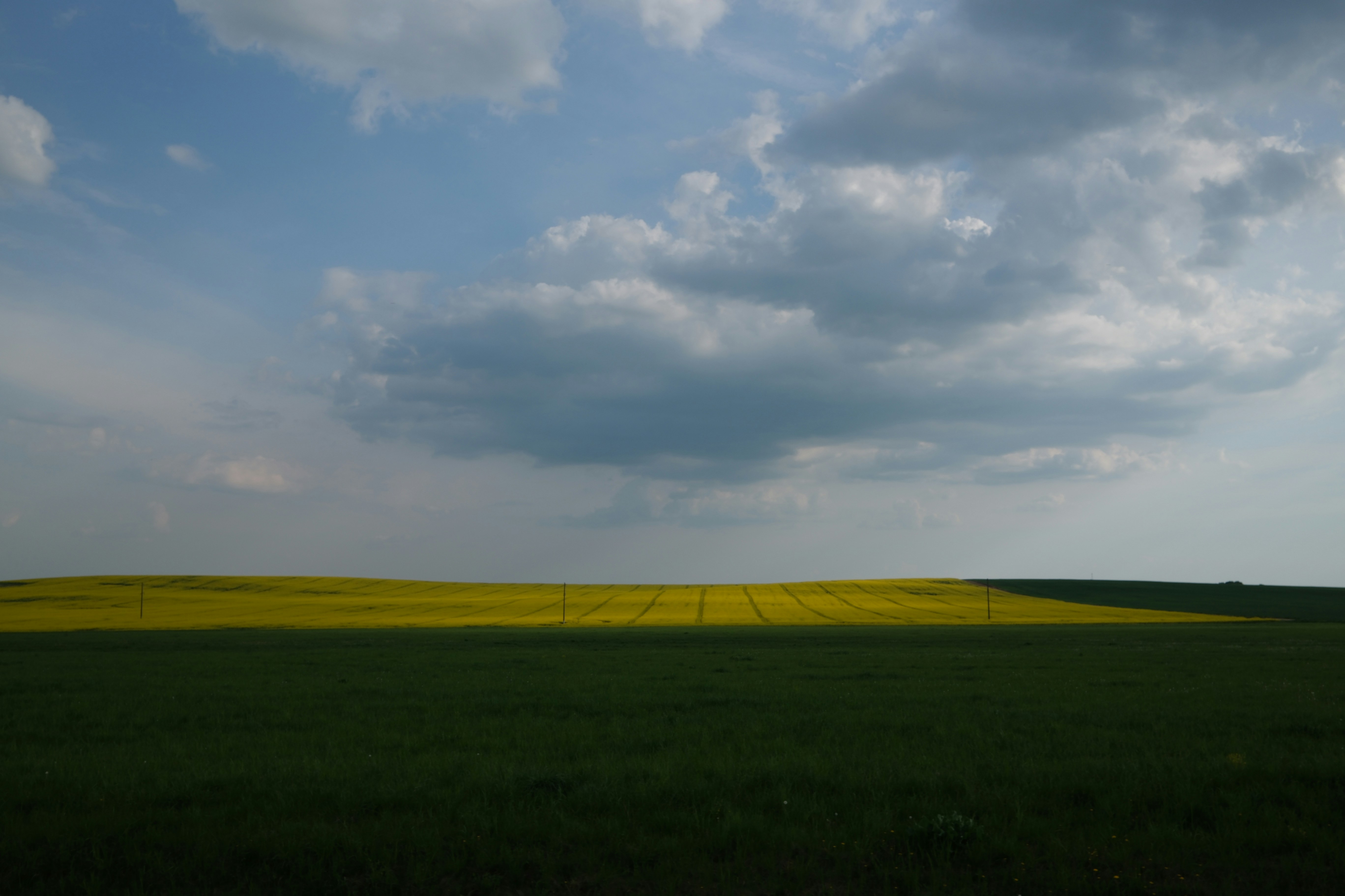 Photo by borzenkov
