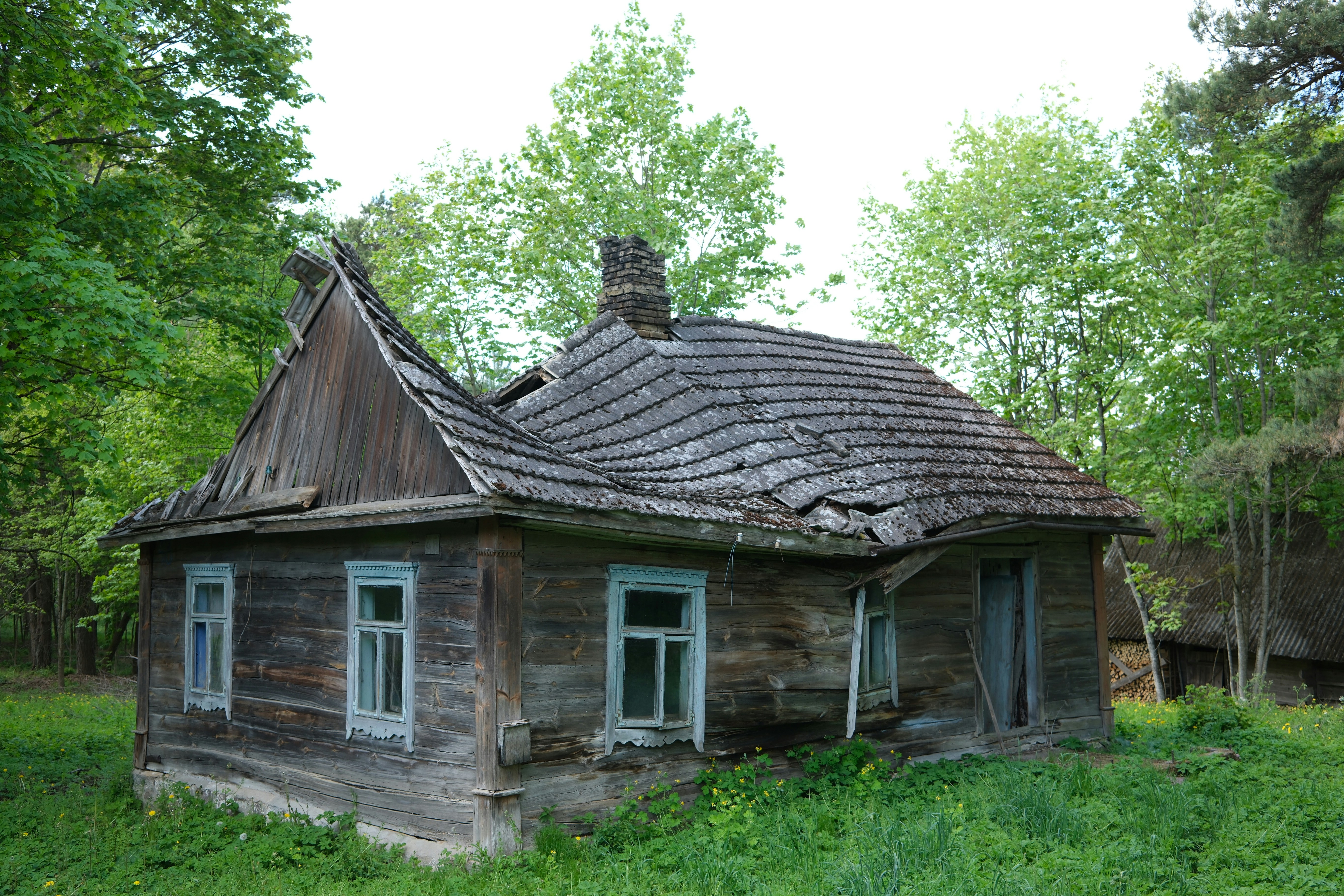 Photo by borzenkov