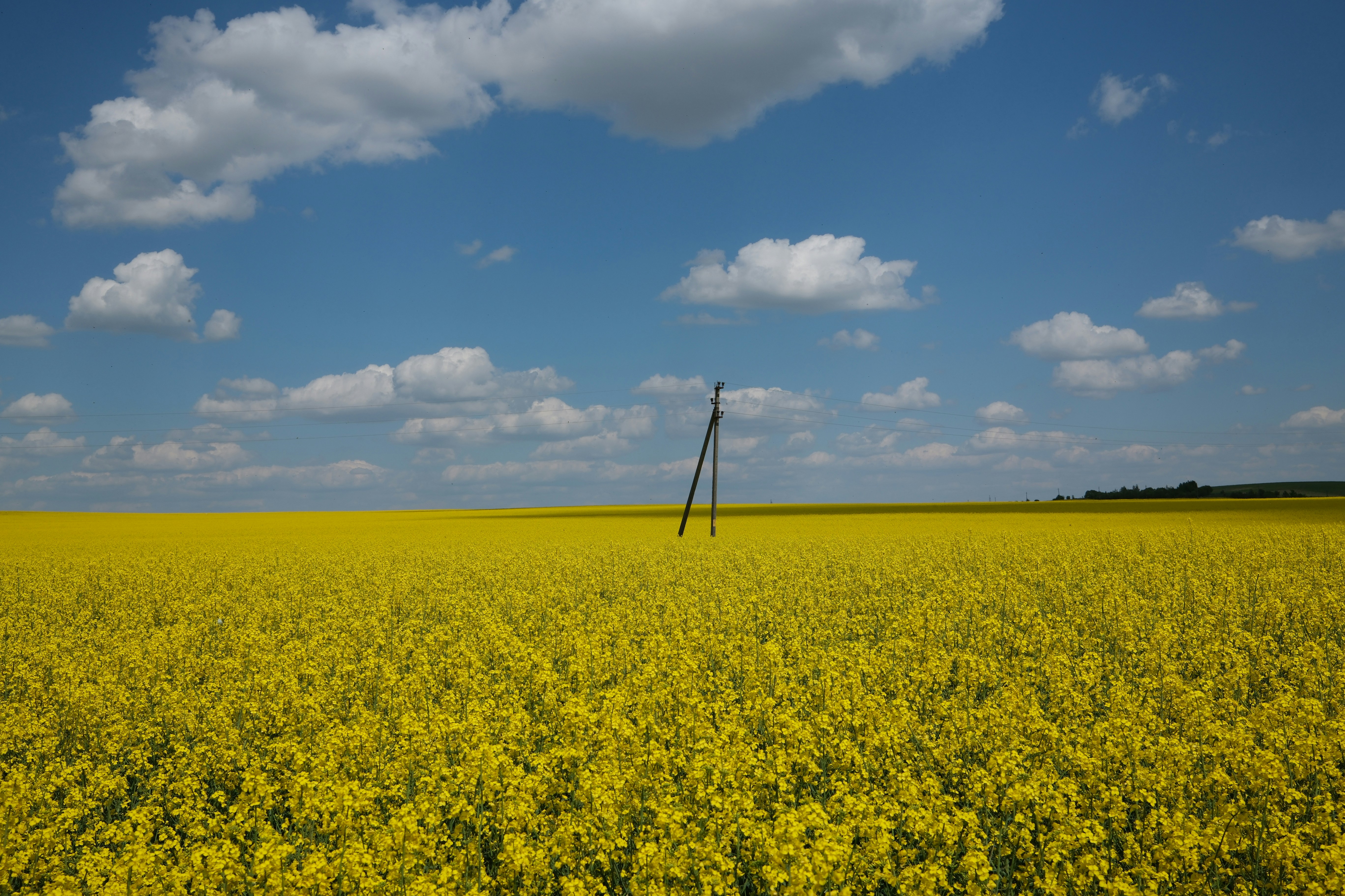 Photo by borzenkov