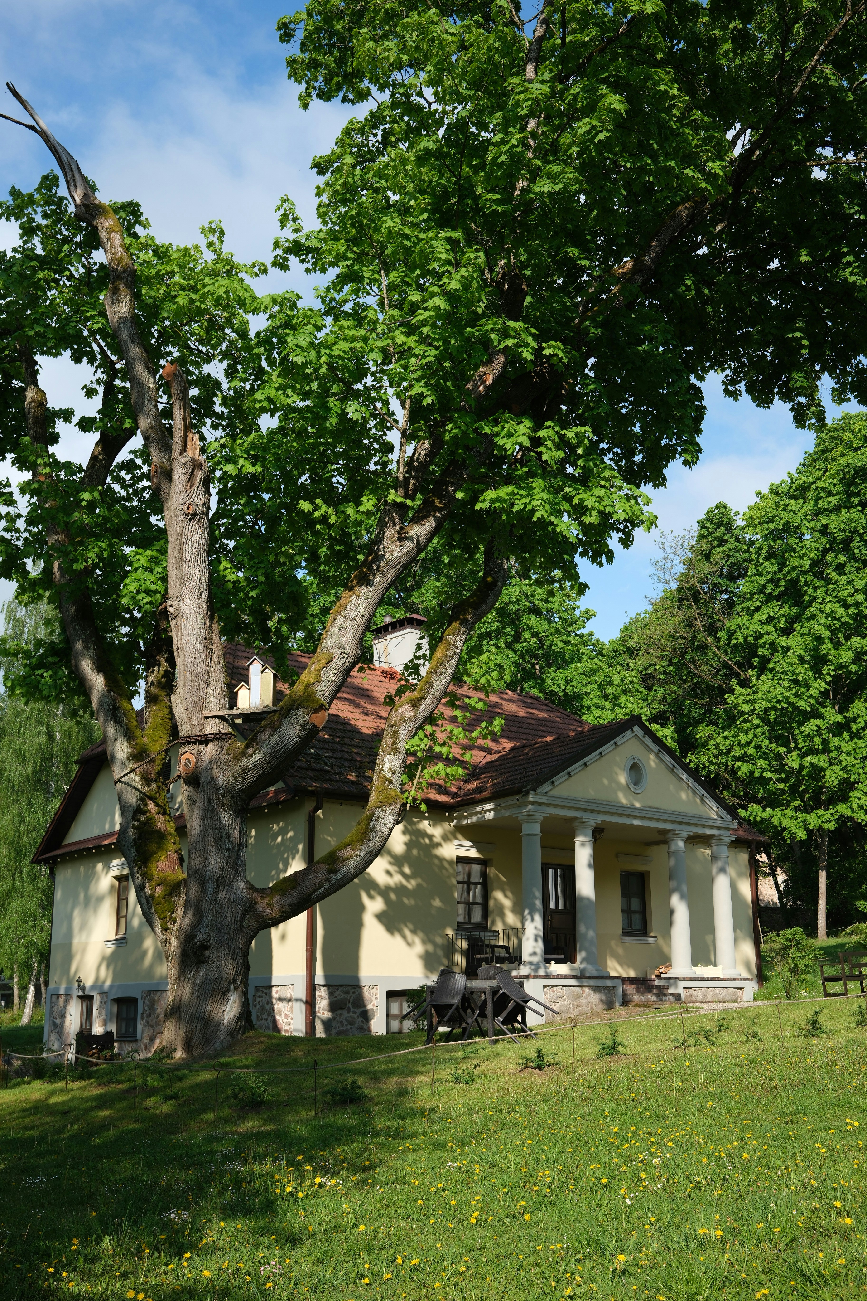Photo by borzenkov