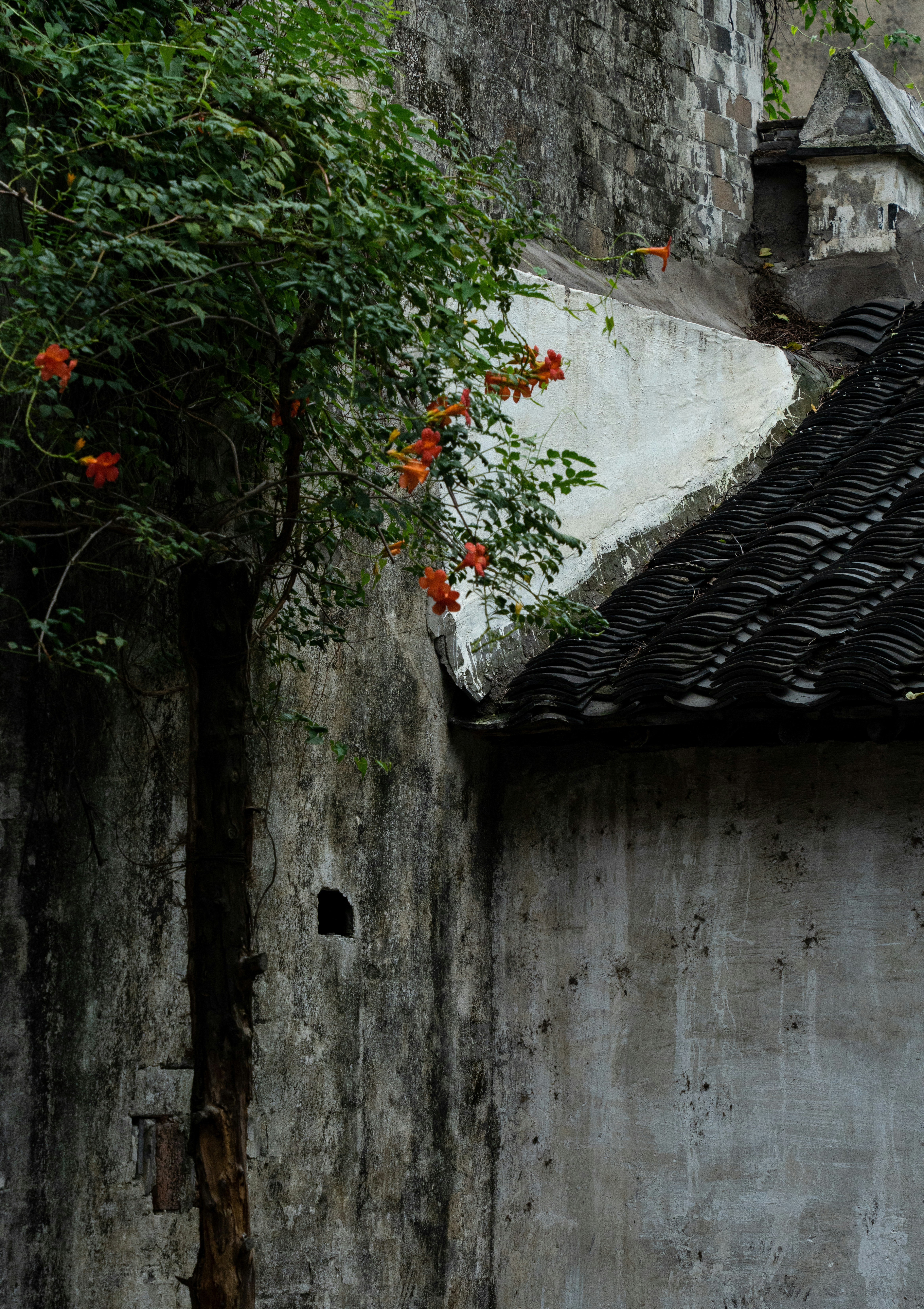 Old stone walls and a tiled roof with orange flowers.