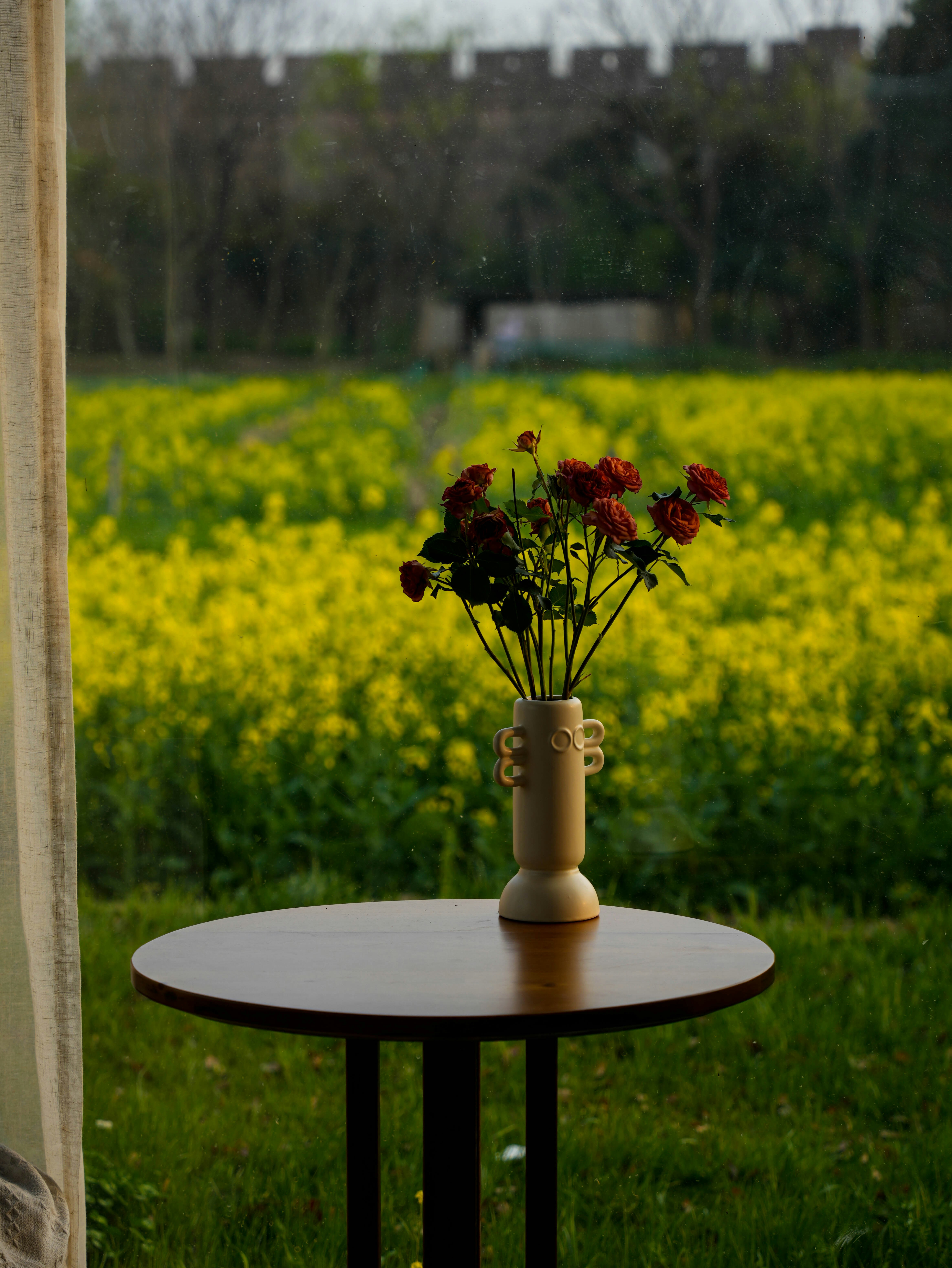 Red roses on table overlooking yellow flower field.