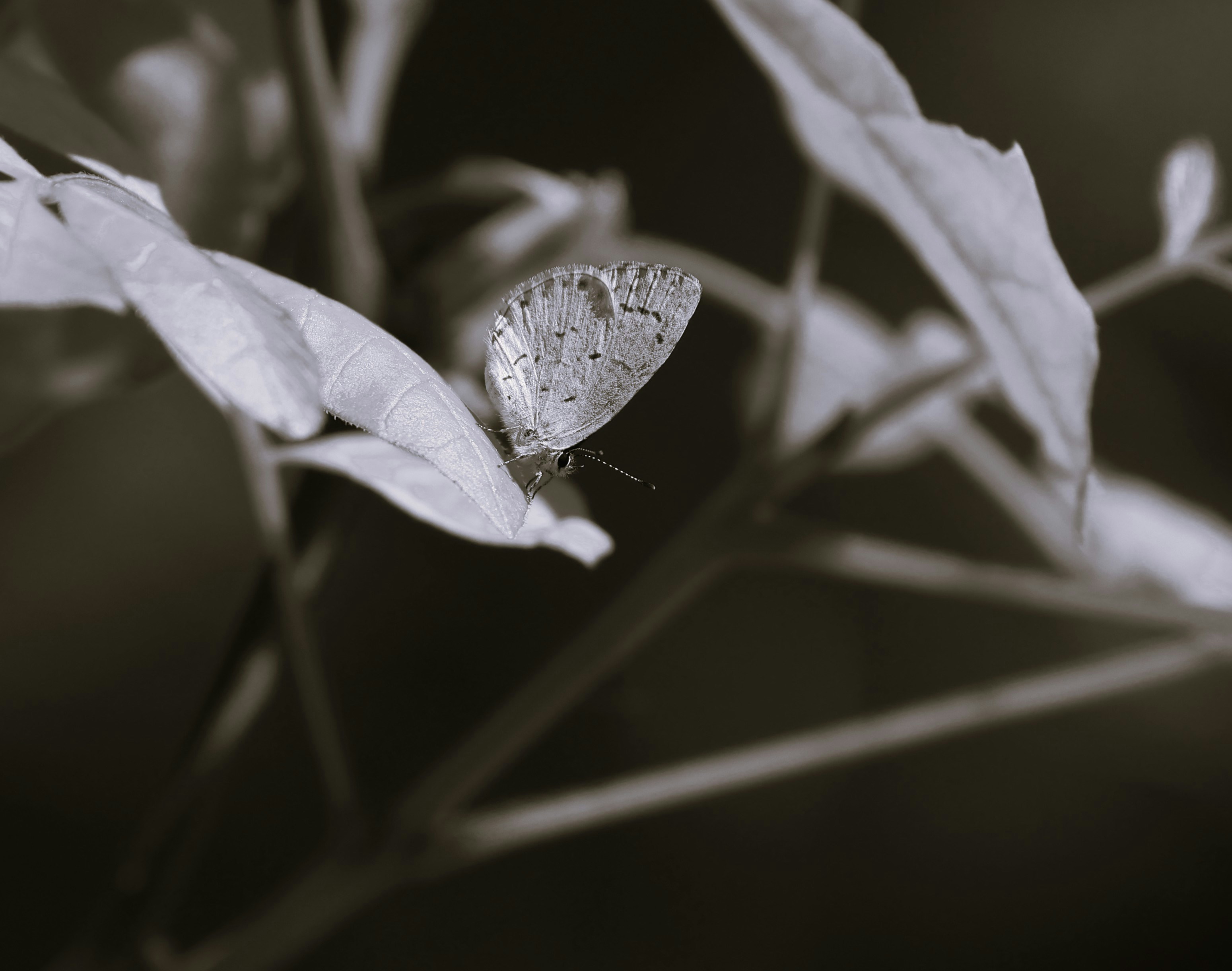 Photo by allbeck