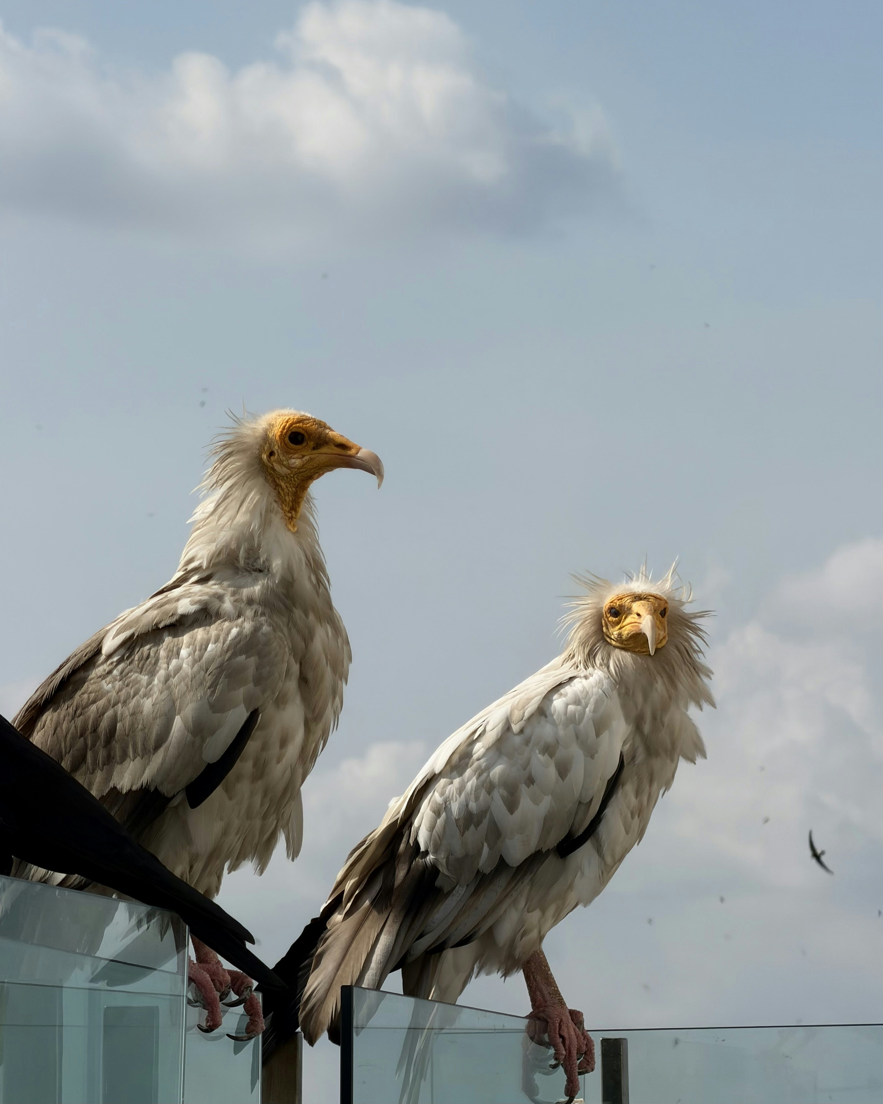 Photo by Vishwasa Navada K