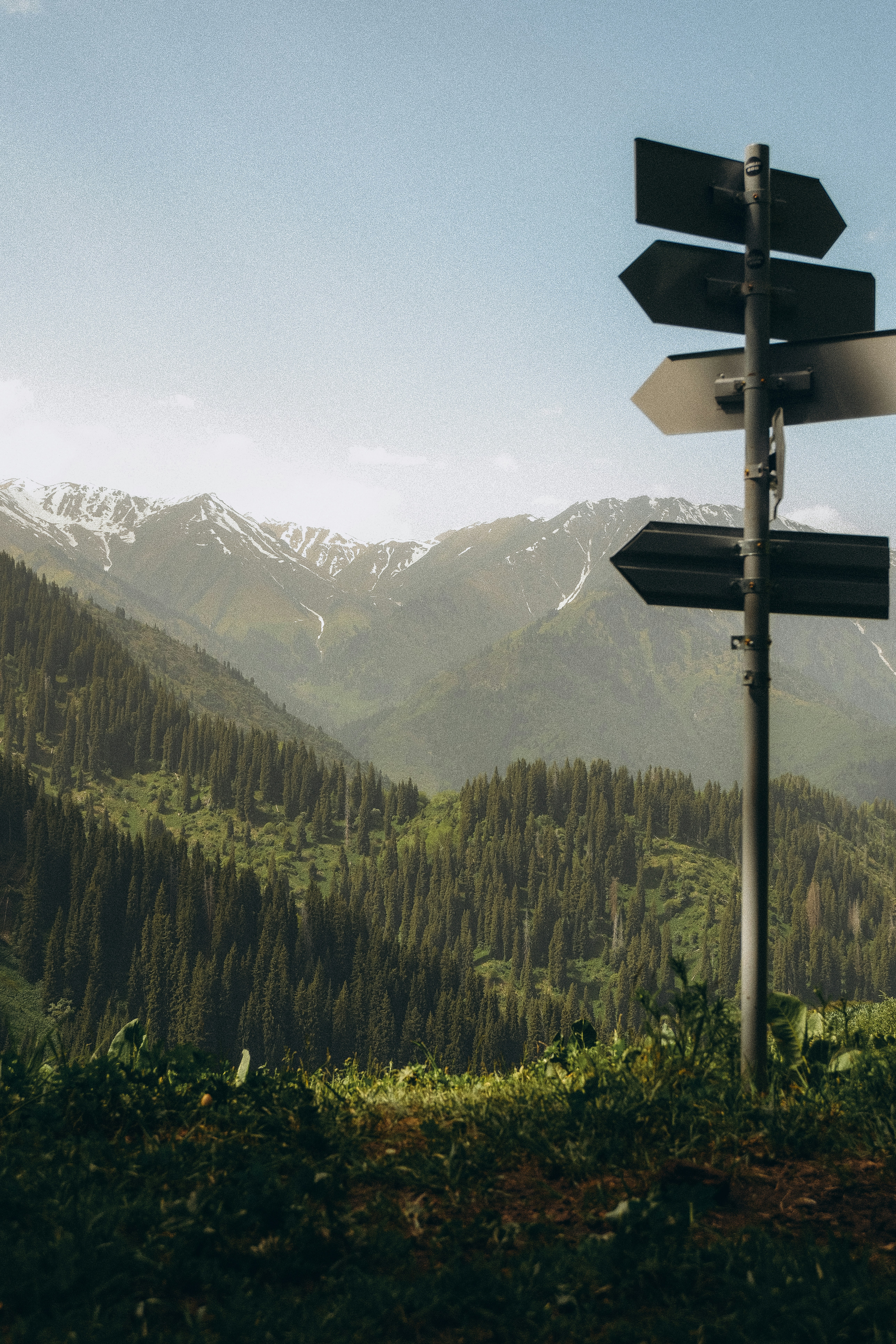 Signpost with blank arrows overlooking green, snow-capped mountains.