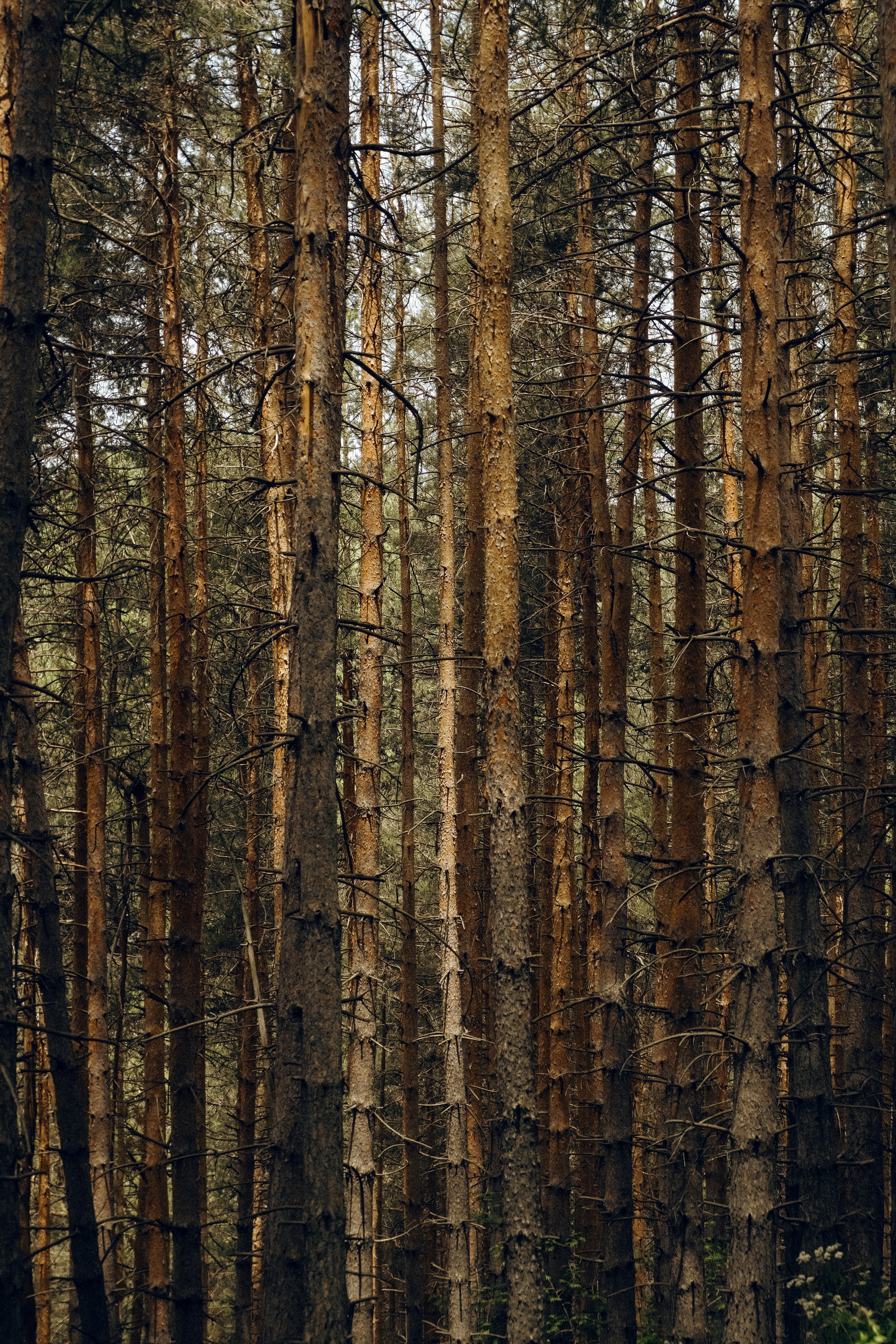Photo by katishna
