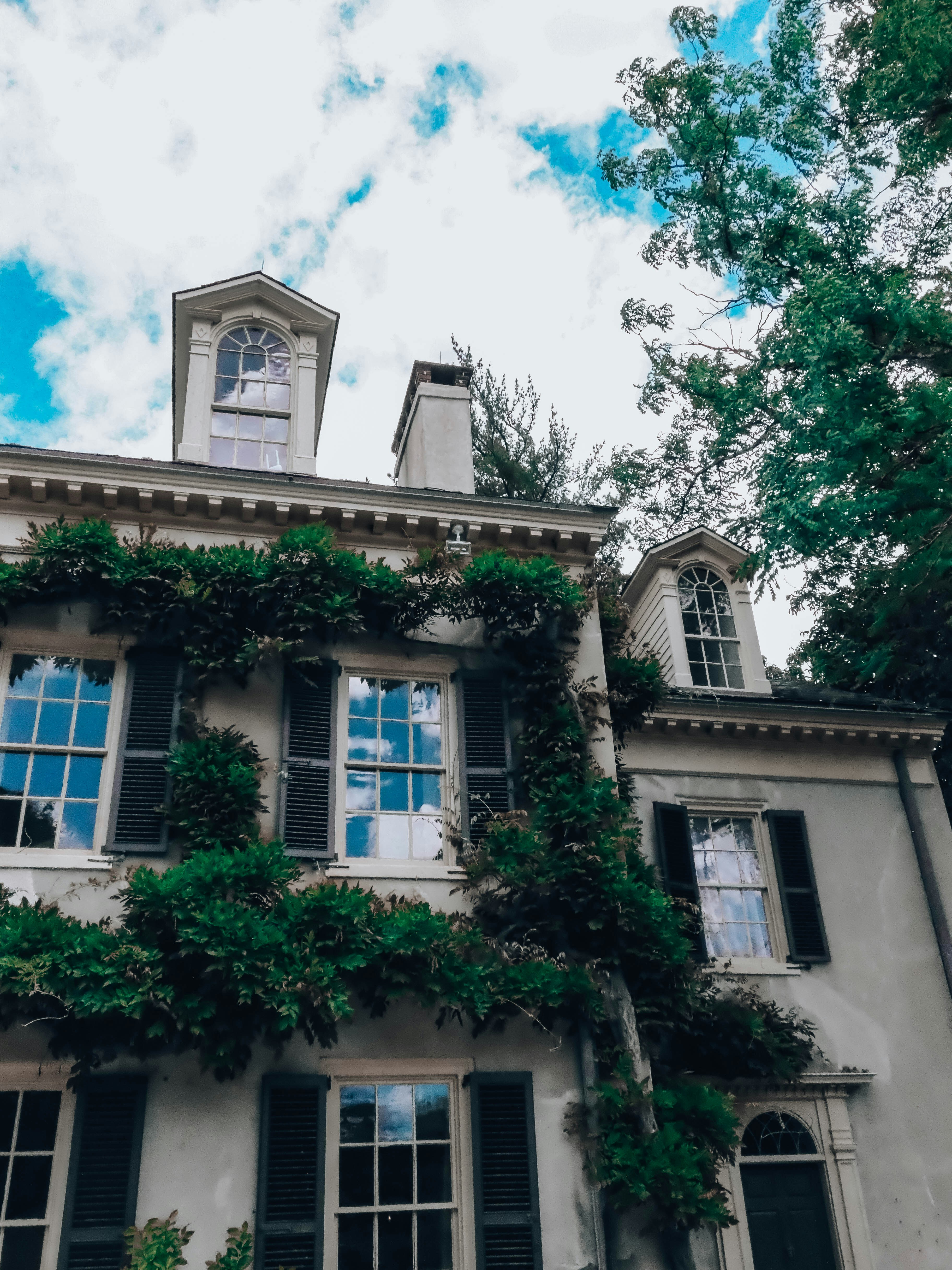 Photo by magicunsplash