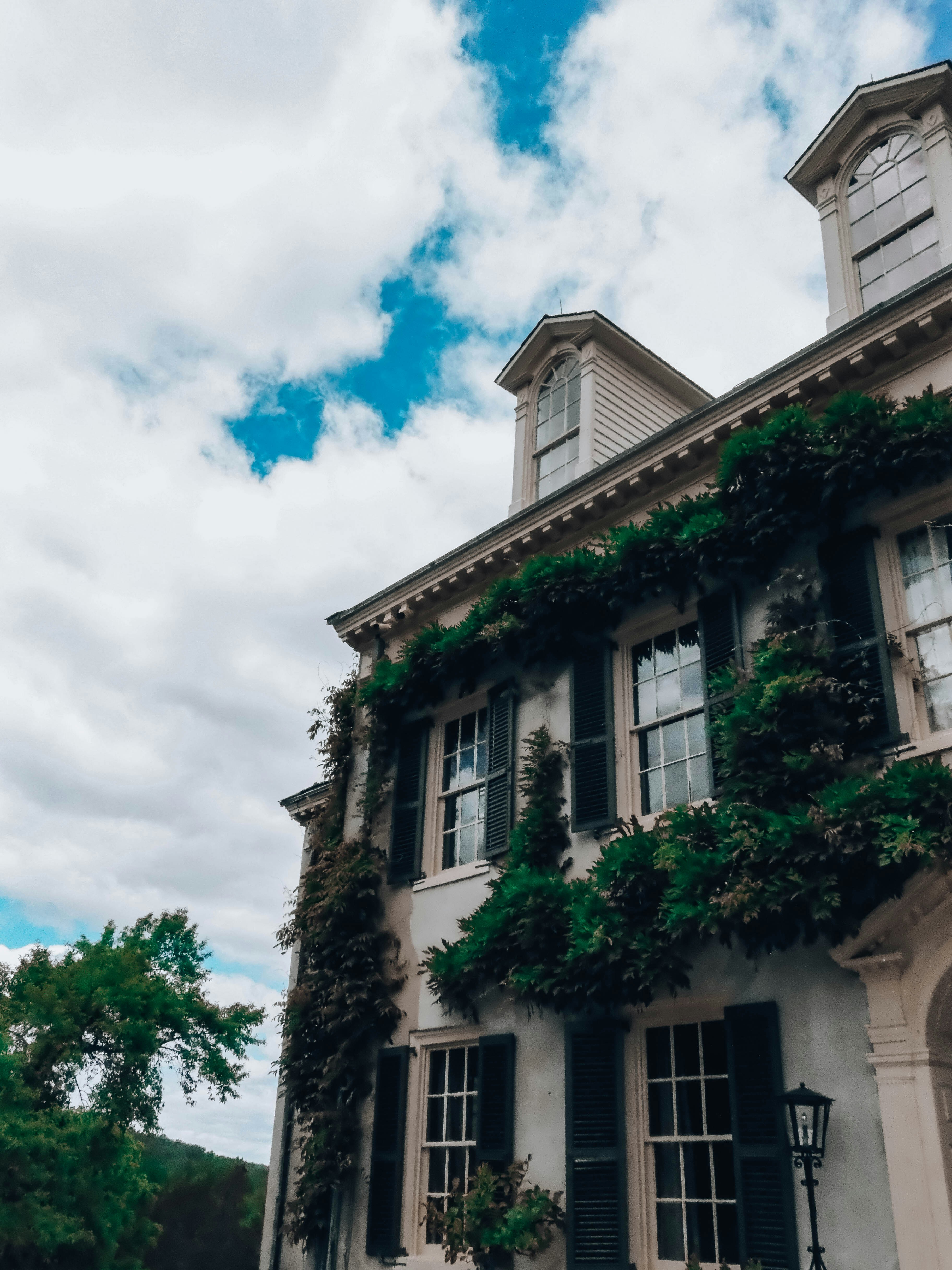 Photo by magicunsplash
